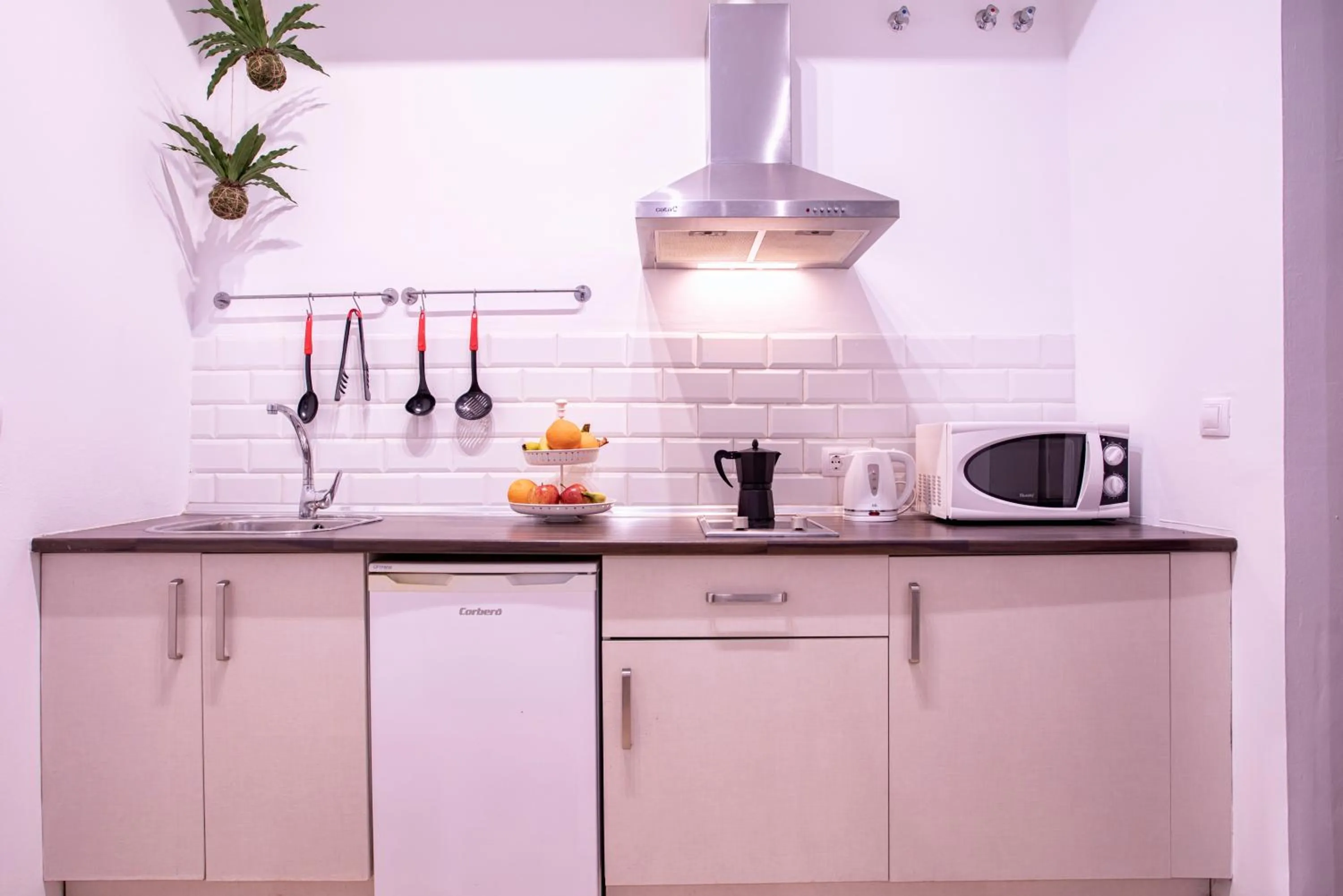 Kitchen or kitchenette in Málaga Central Suites