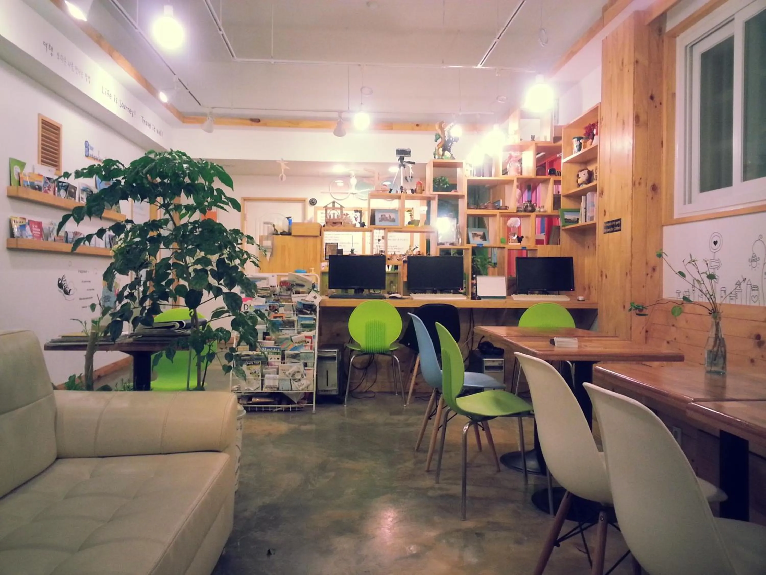 Communal lounge/ TV room in Blue Backpackers Hostel