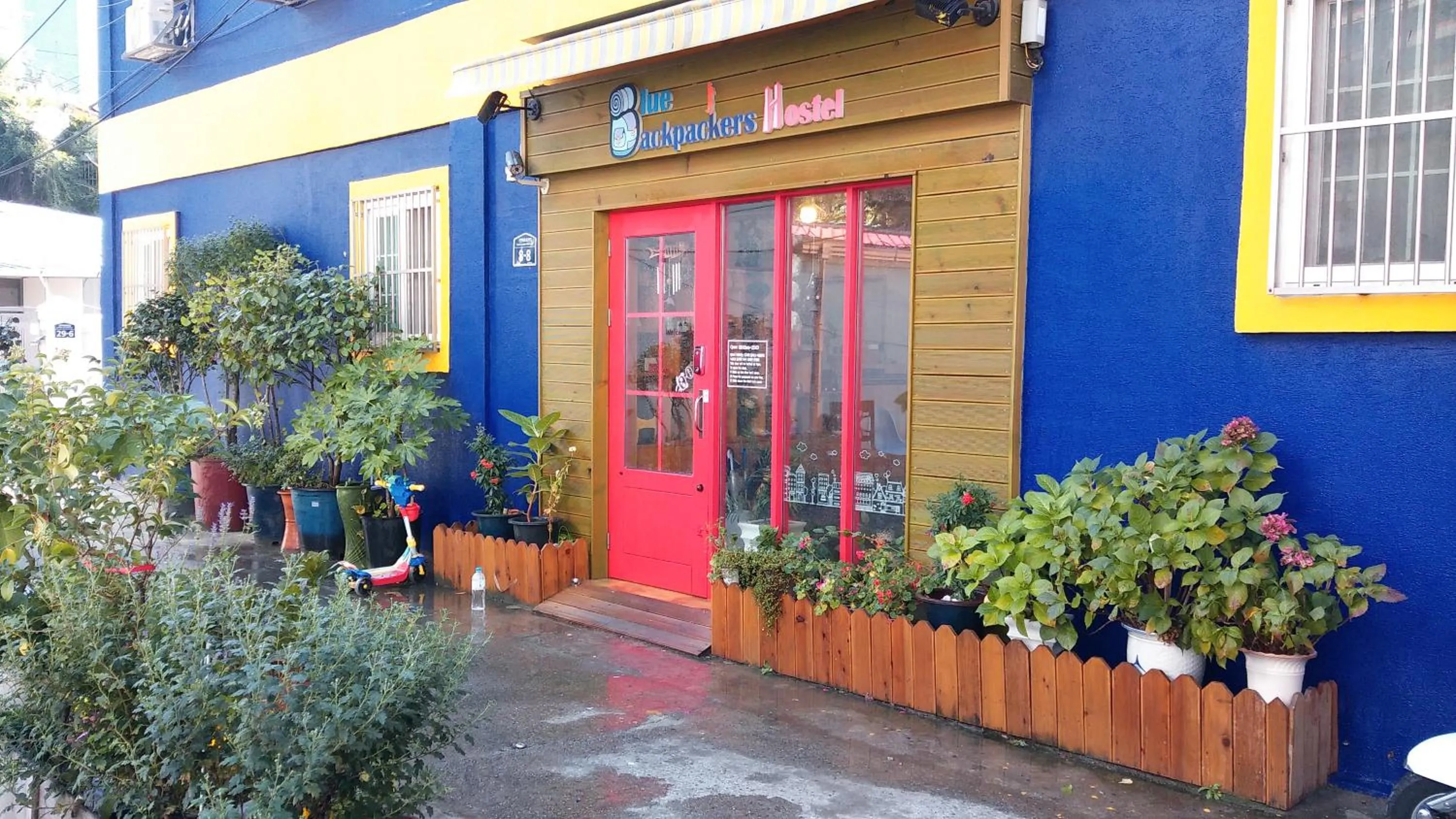 Property building in Blue Backpackers Hostel