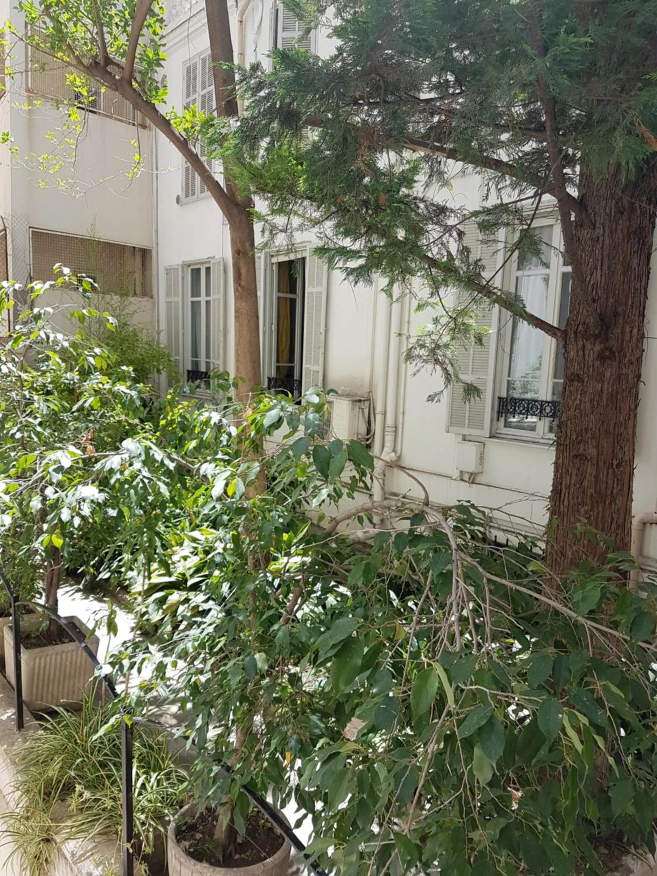 Garden in Hotel Cronstadt