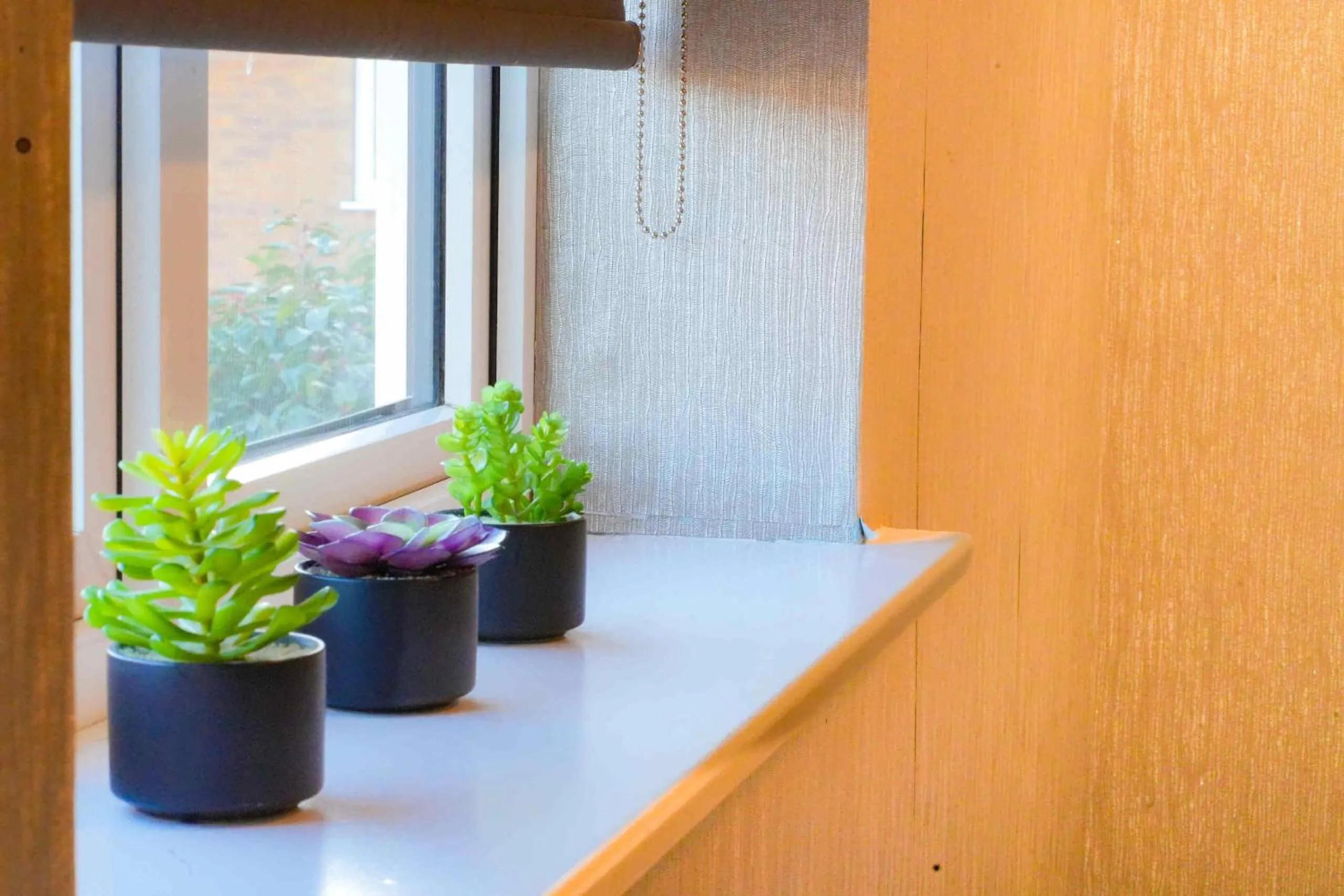 Other in Taylor Close