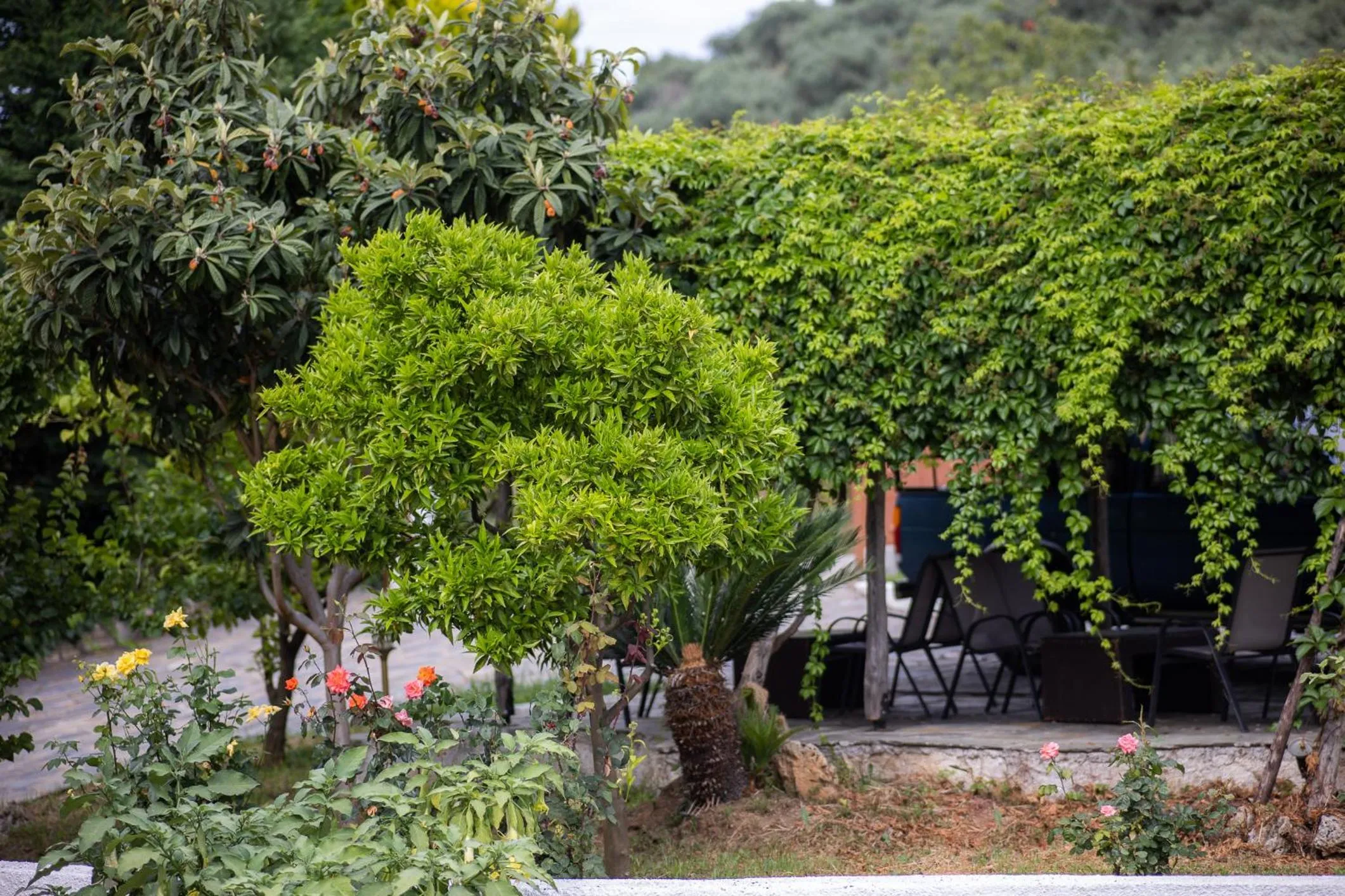 Day in Seralis Pelion