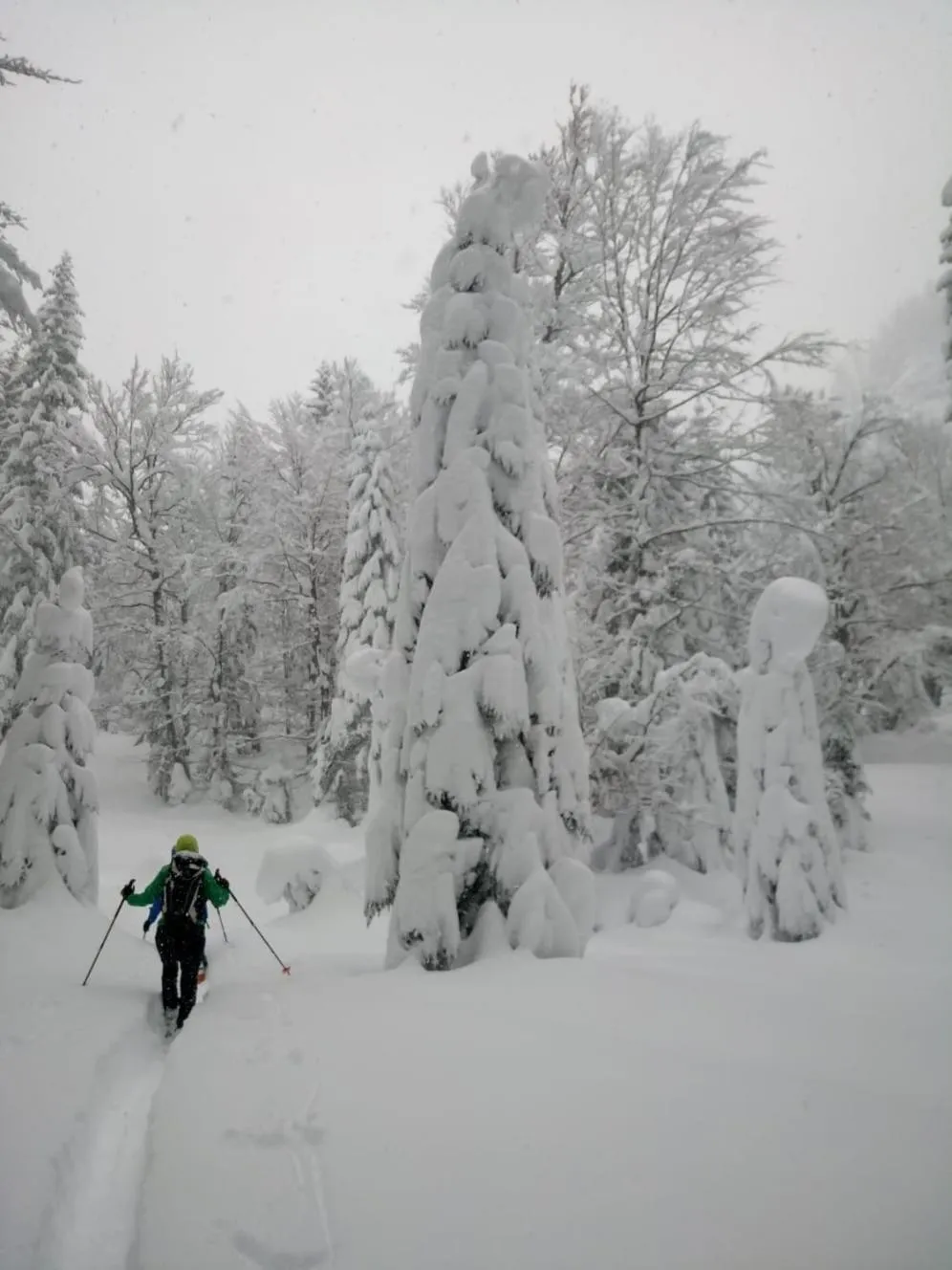Hiking in Hotel Rotlechhof