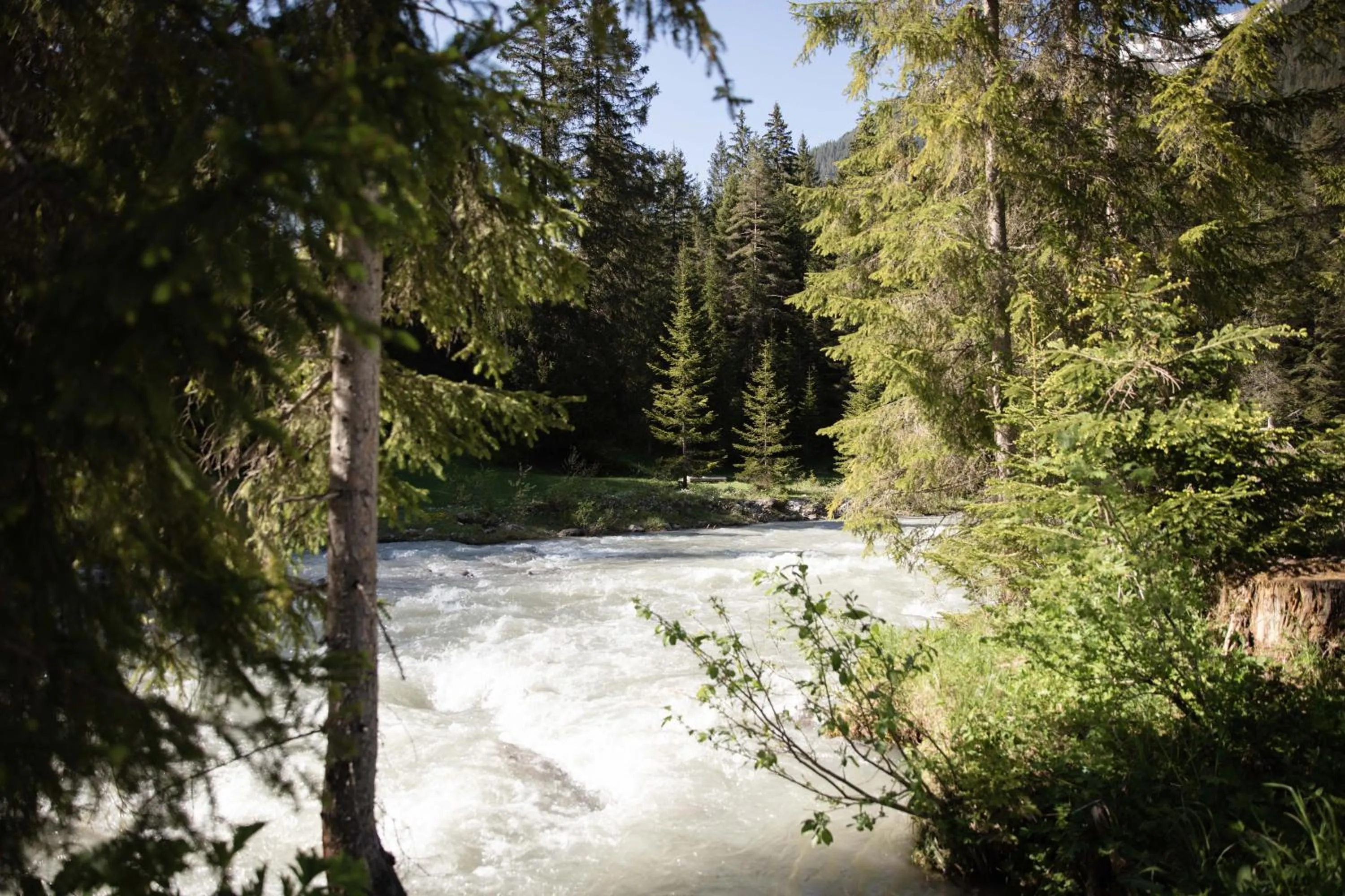Natural landscape in Hotel Rotlechhof