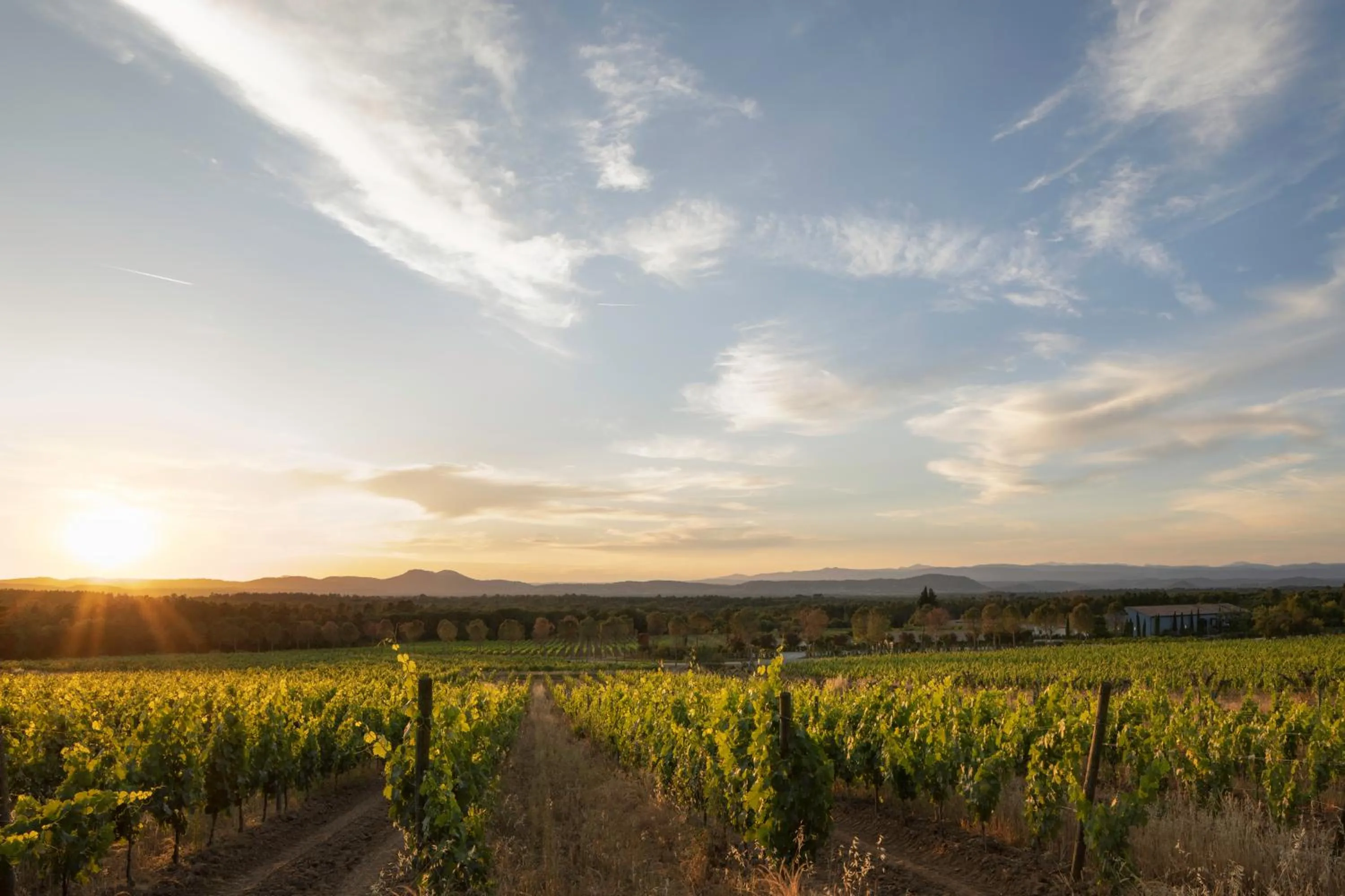 Natural landscape in Ultimate Provence Hotel & Spa