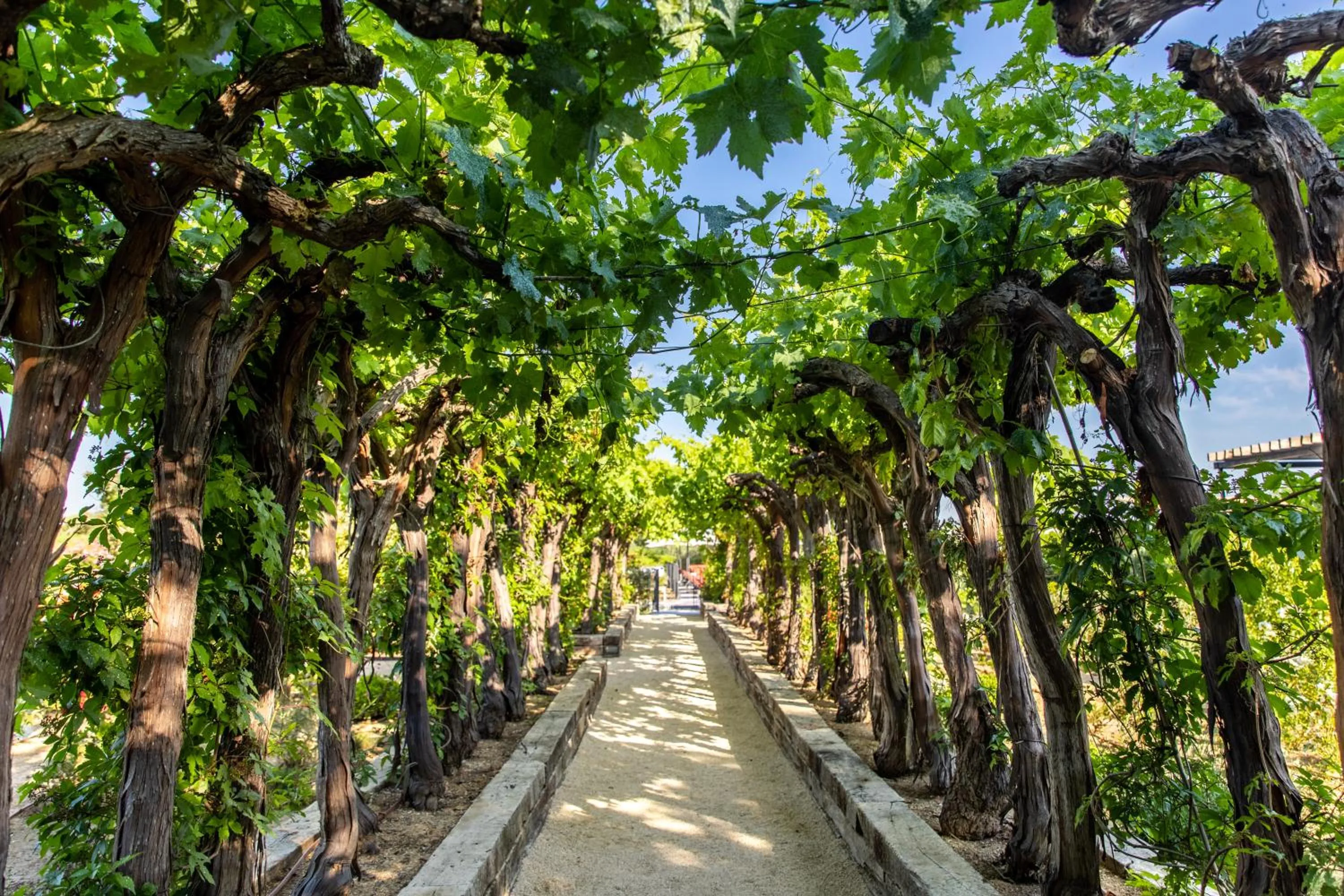 Natural landscape in Ultimate Provence Hotel & Spa