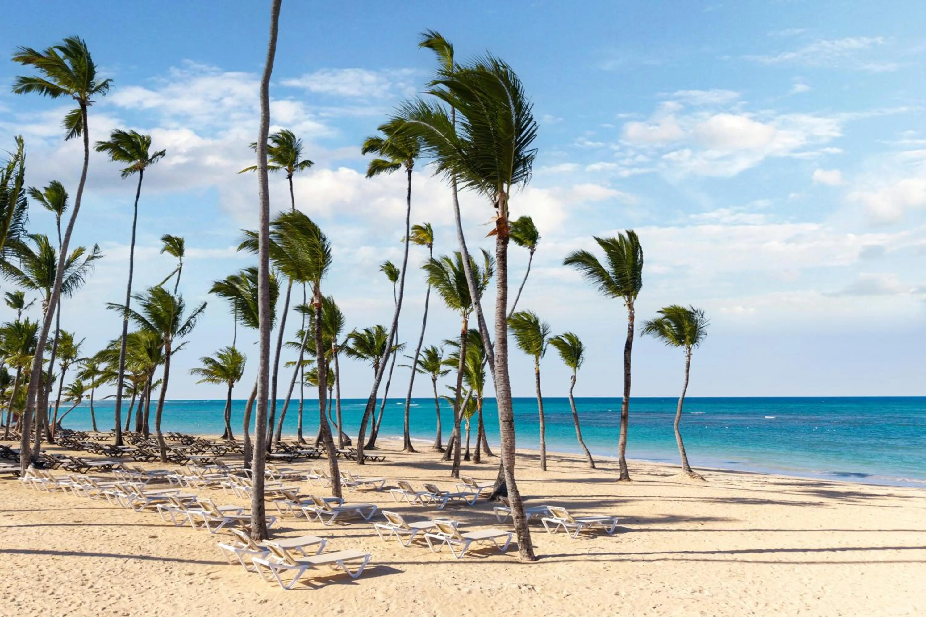 Natural landscape in Wyndham Alltra Punta Cana All Inclusive Resort