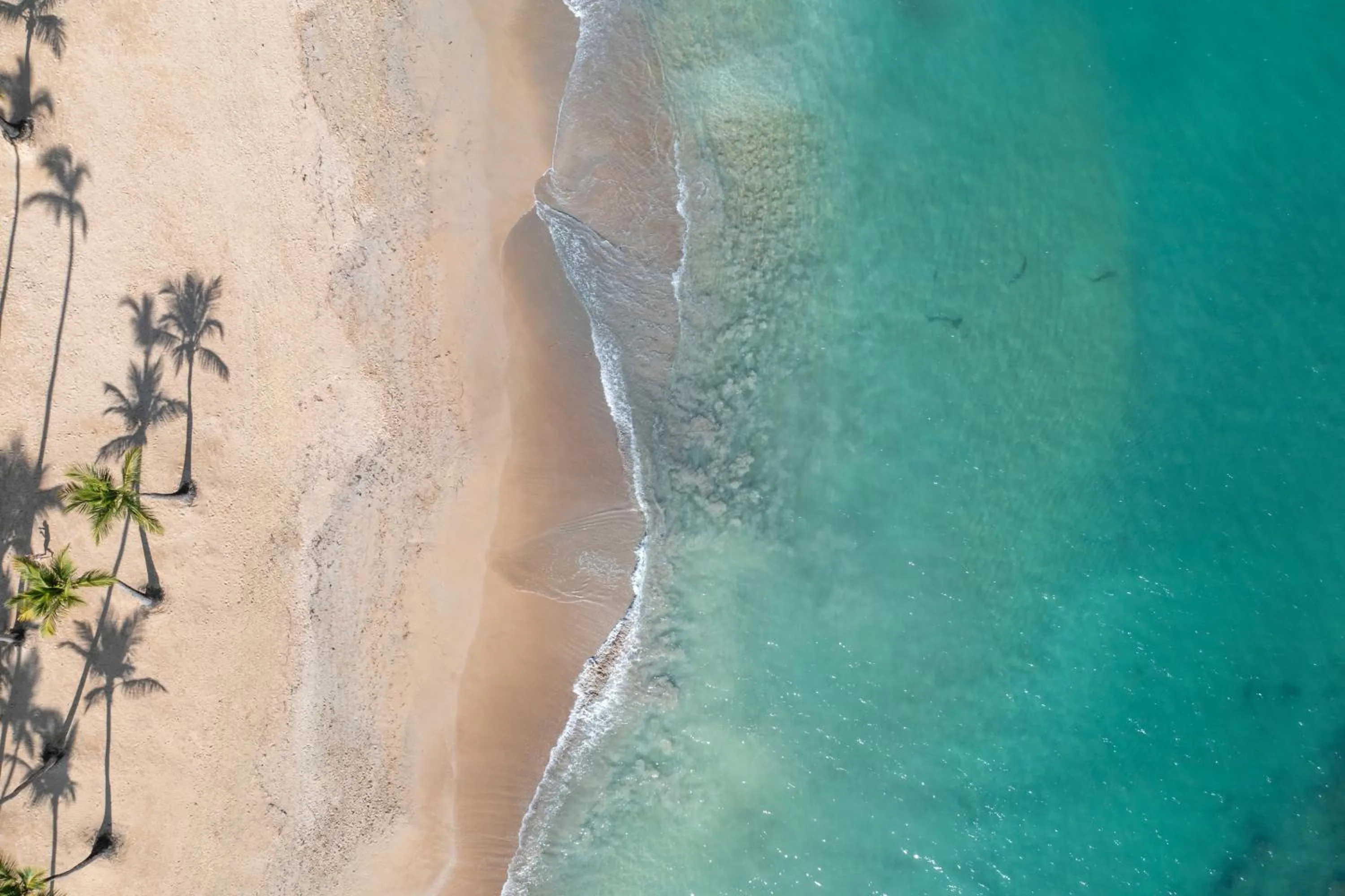 Bird's eye view in Wyndham Alltra Punta Cana All Inclusive Resort