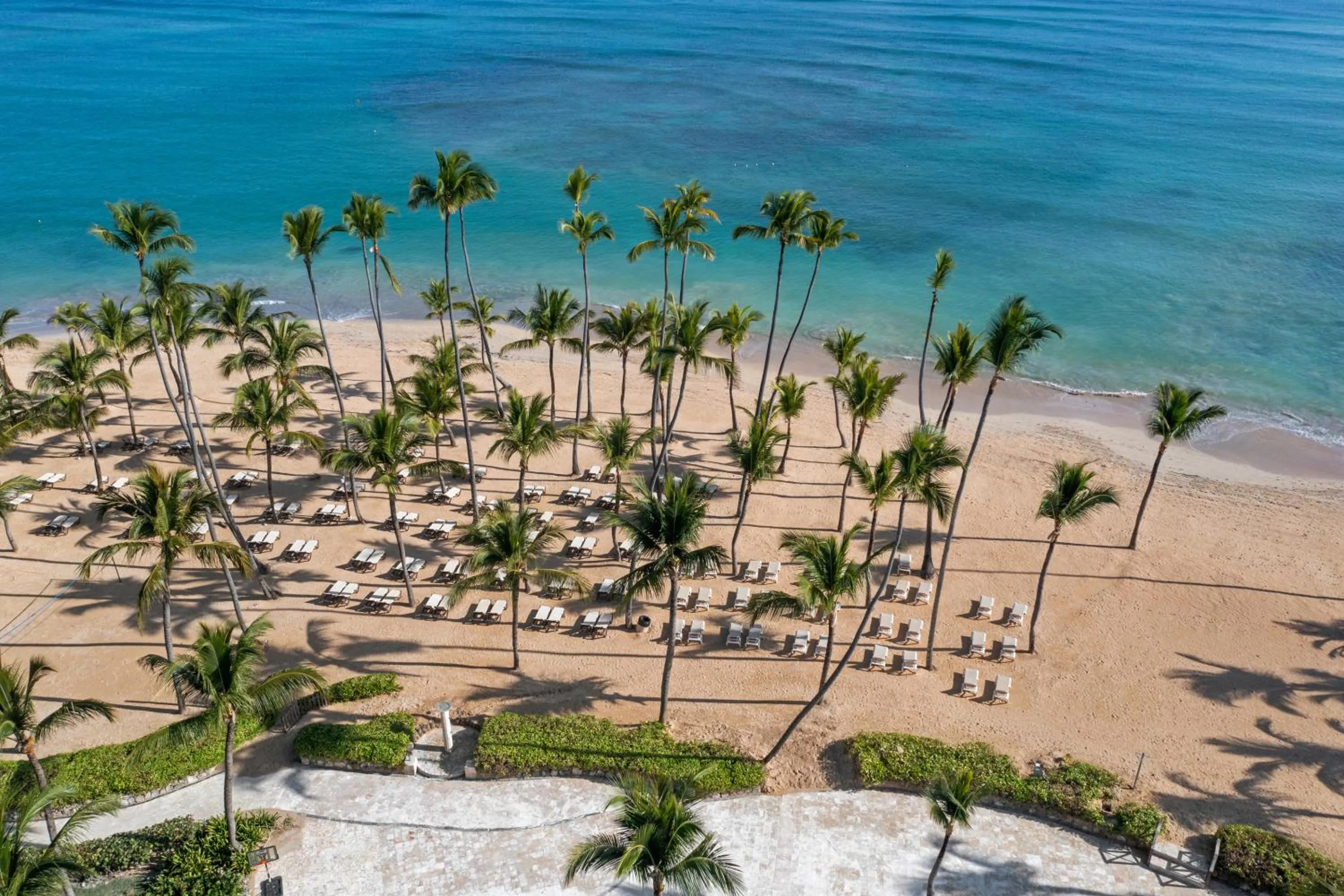 Natural landscape in Wyndham Alltra Punta Cana All Inclusive Resort