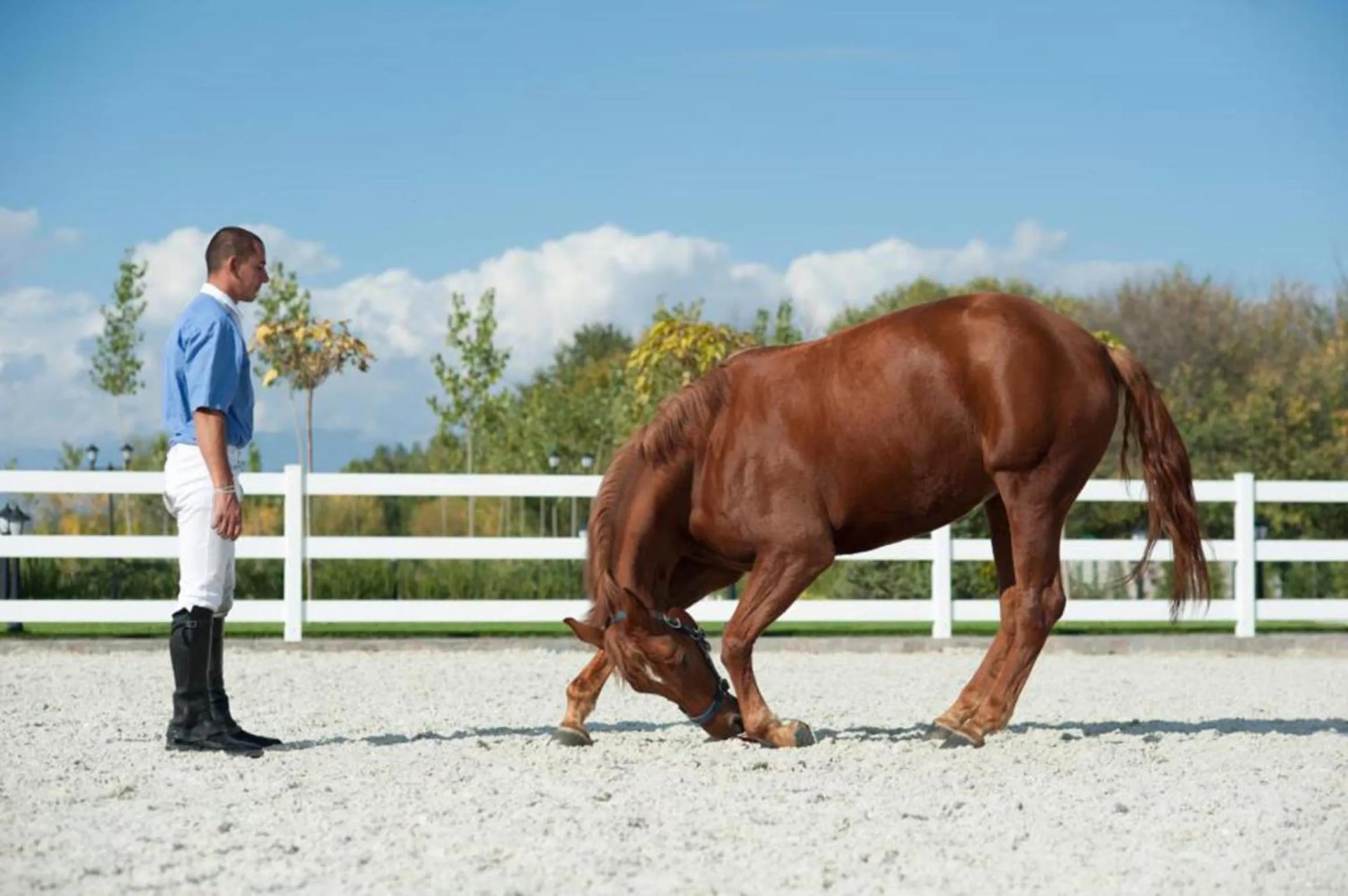 Horse-riding in Boutique Complex Trakiets