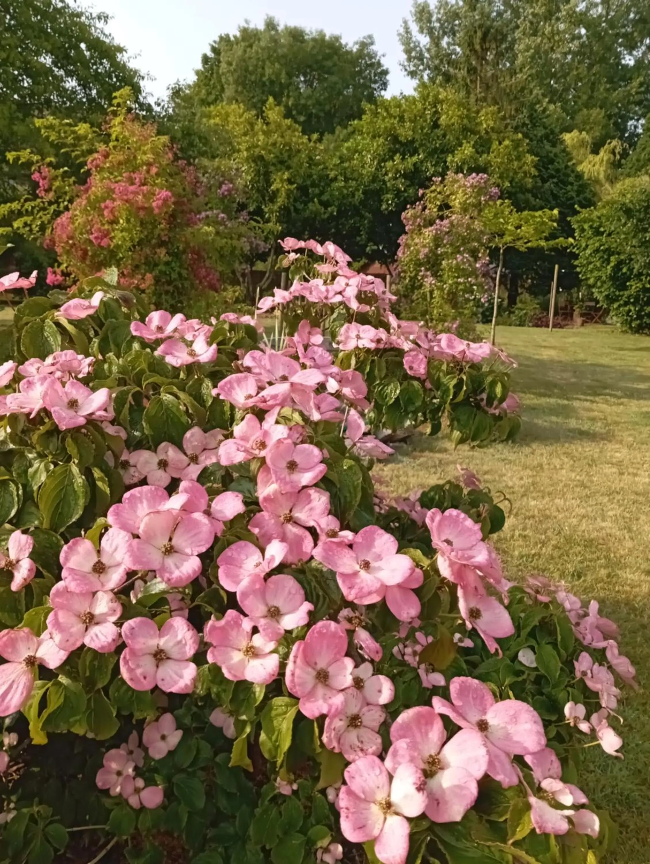 Garden view in Ker Adsav o'naturel
