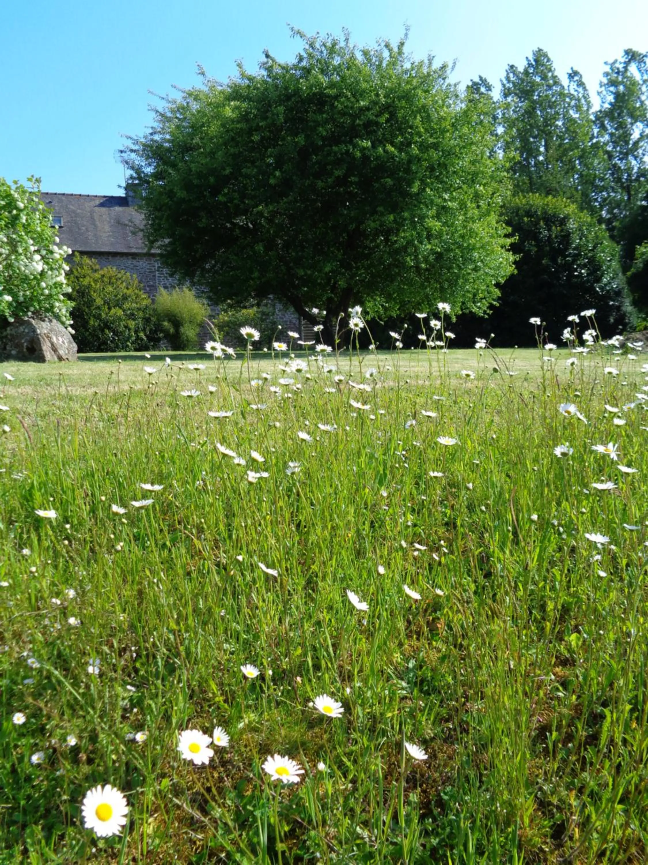 Natural landscape in Ker Adsav o'naturel