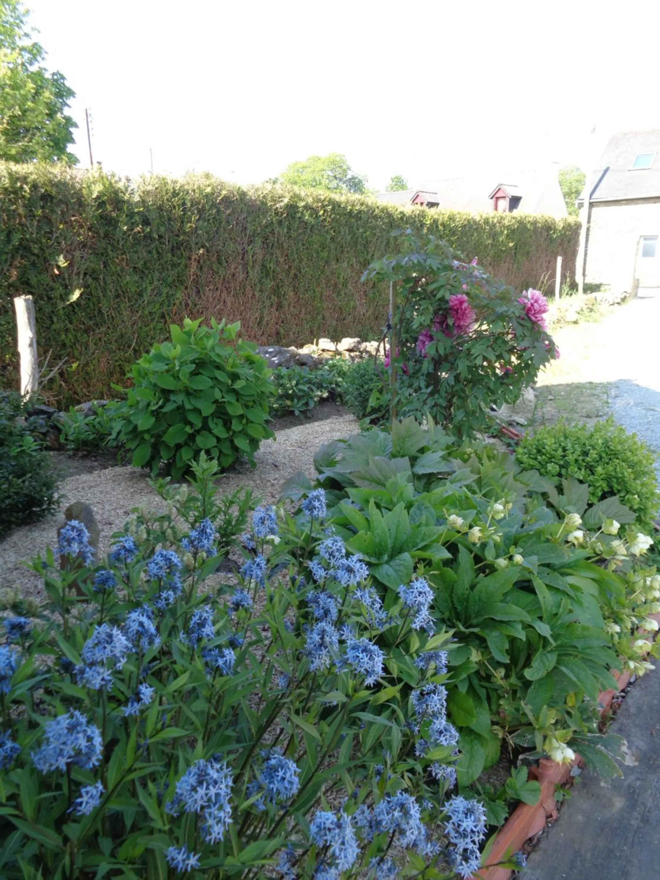 Garden in Ker Adsav o'naturel