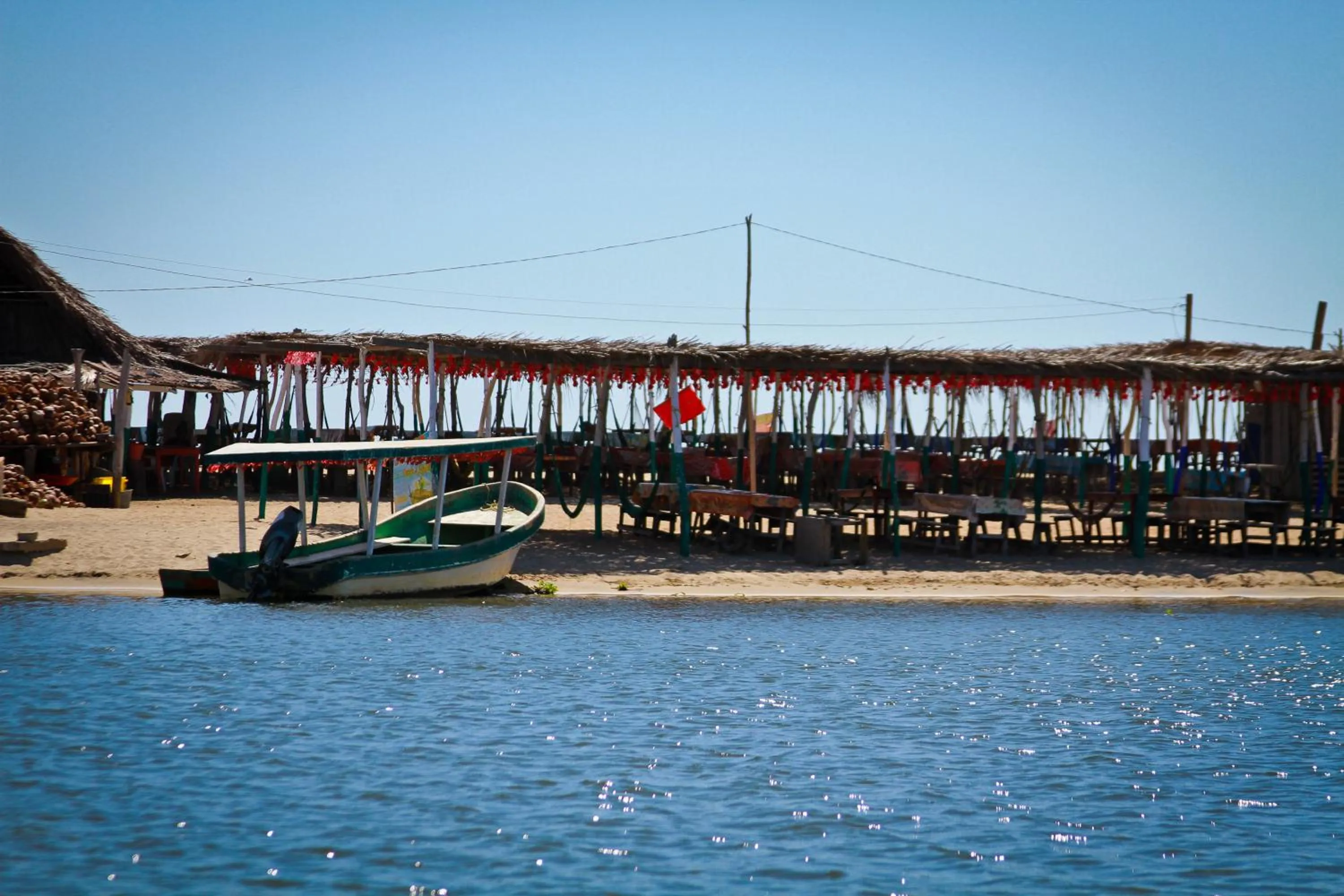 Area and facilities in Hotel Gilda