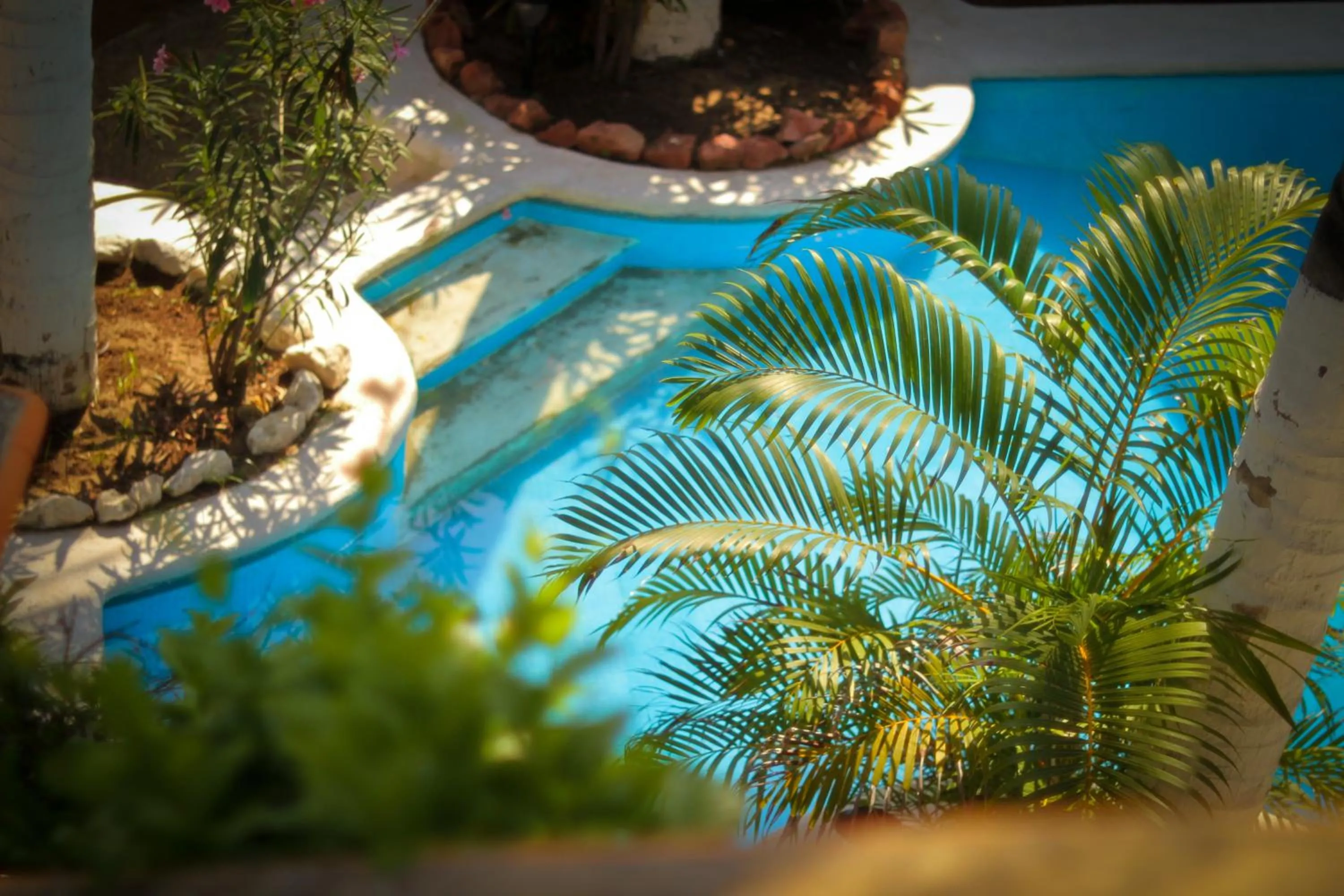 Pool view in Hotel Gilda