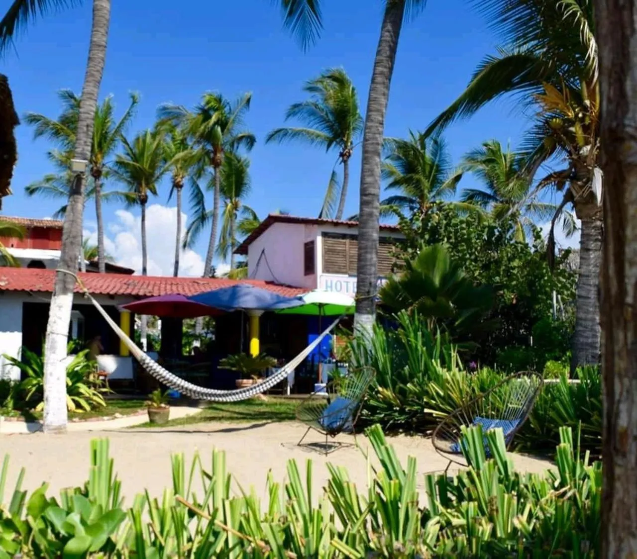 Restaurant/places to eat in Hotel Gilda