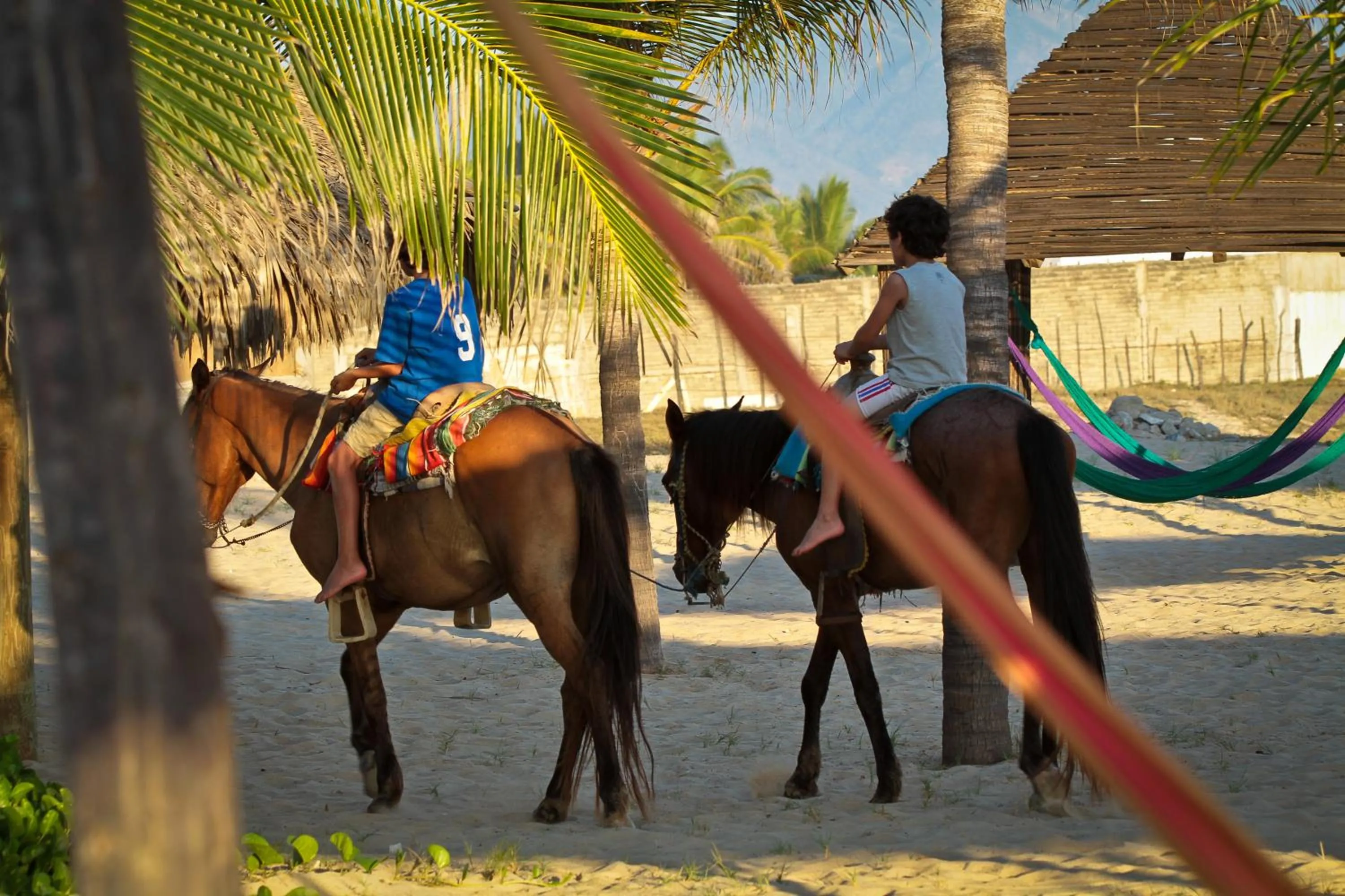 Horse-riding in Hotel Gilda