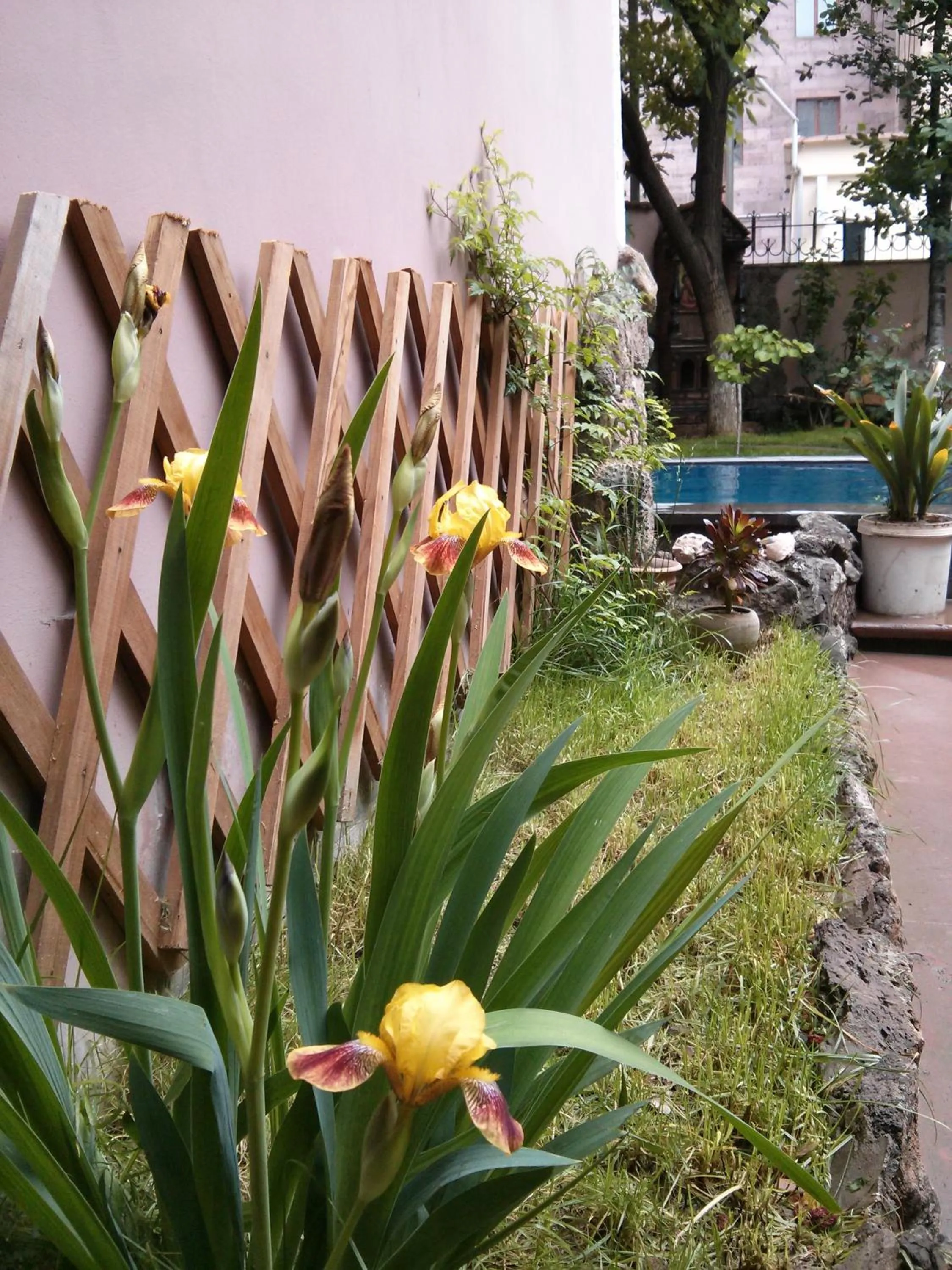 Other in Hin Yerevantsi Hotel