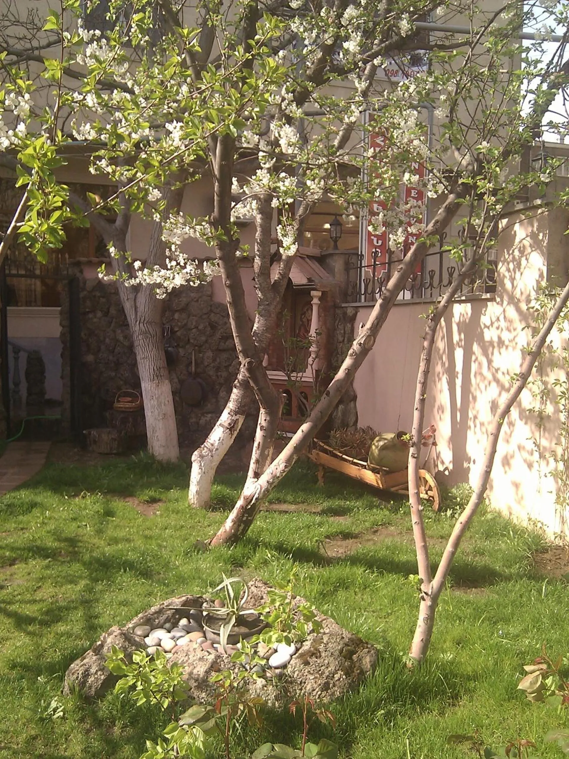 Garden in Hin Yerevantsi Hotel