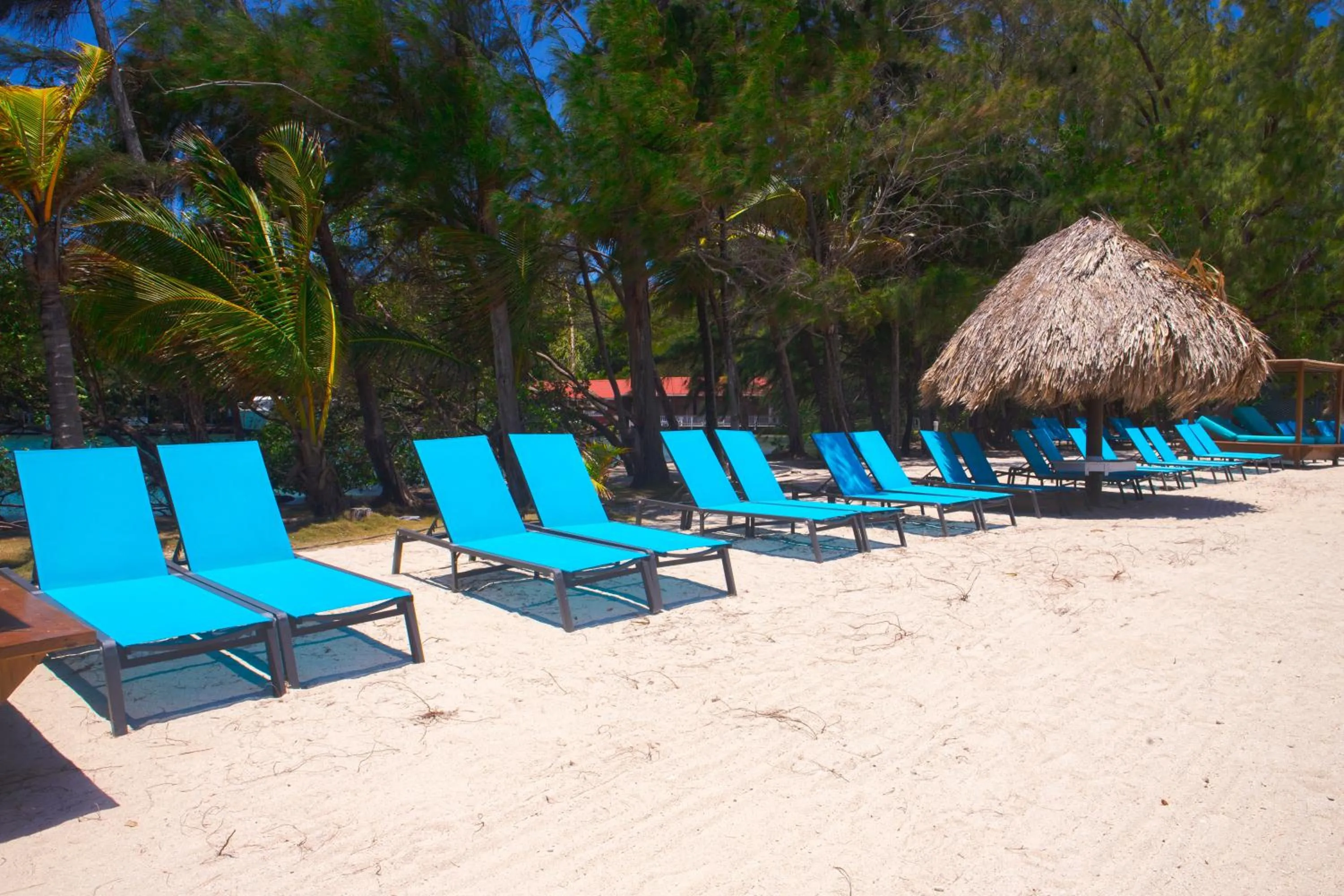 Fantasy Island Beach Resort and Marina - All Inclusive