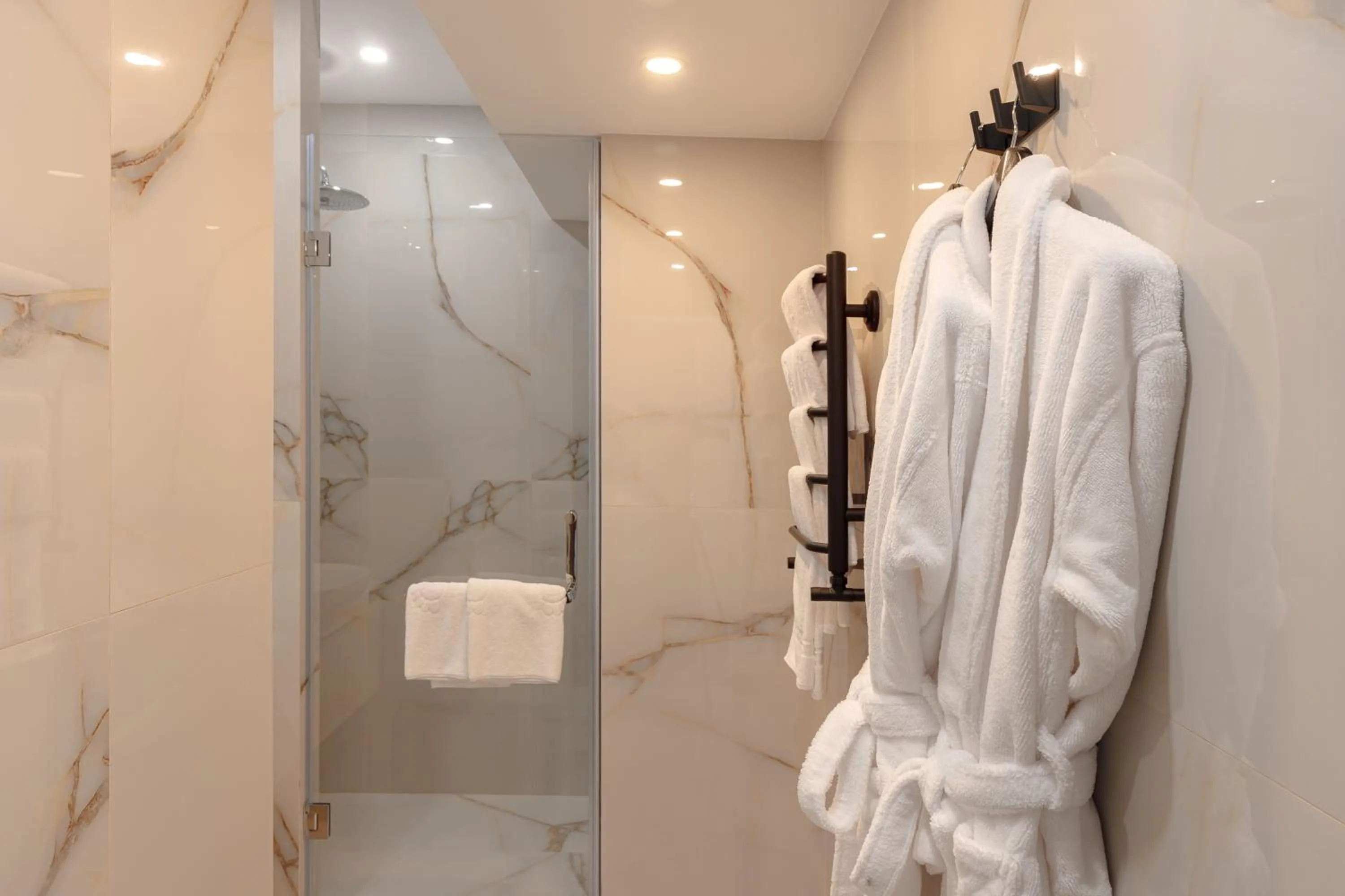 Shower in Almaty Hotel