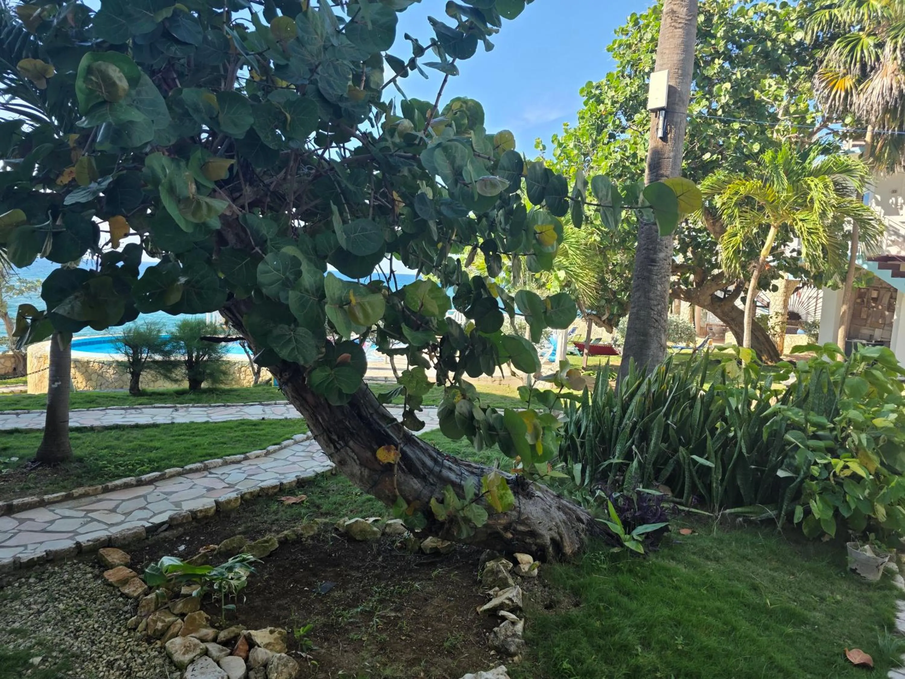 Garden view in Home Sweet Home Resort