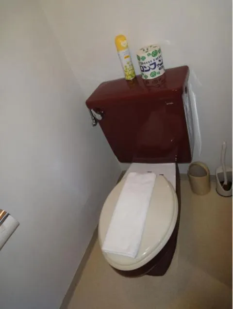 Bathroom in Soho Asakusa Hotel