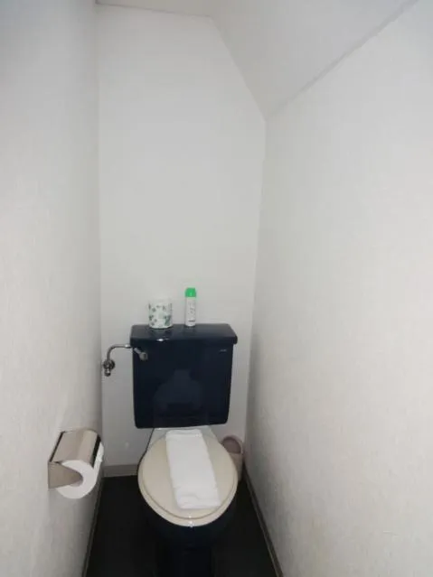 Bathroom in Soho Asakusa Hotel