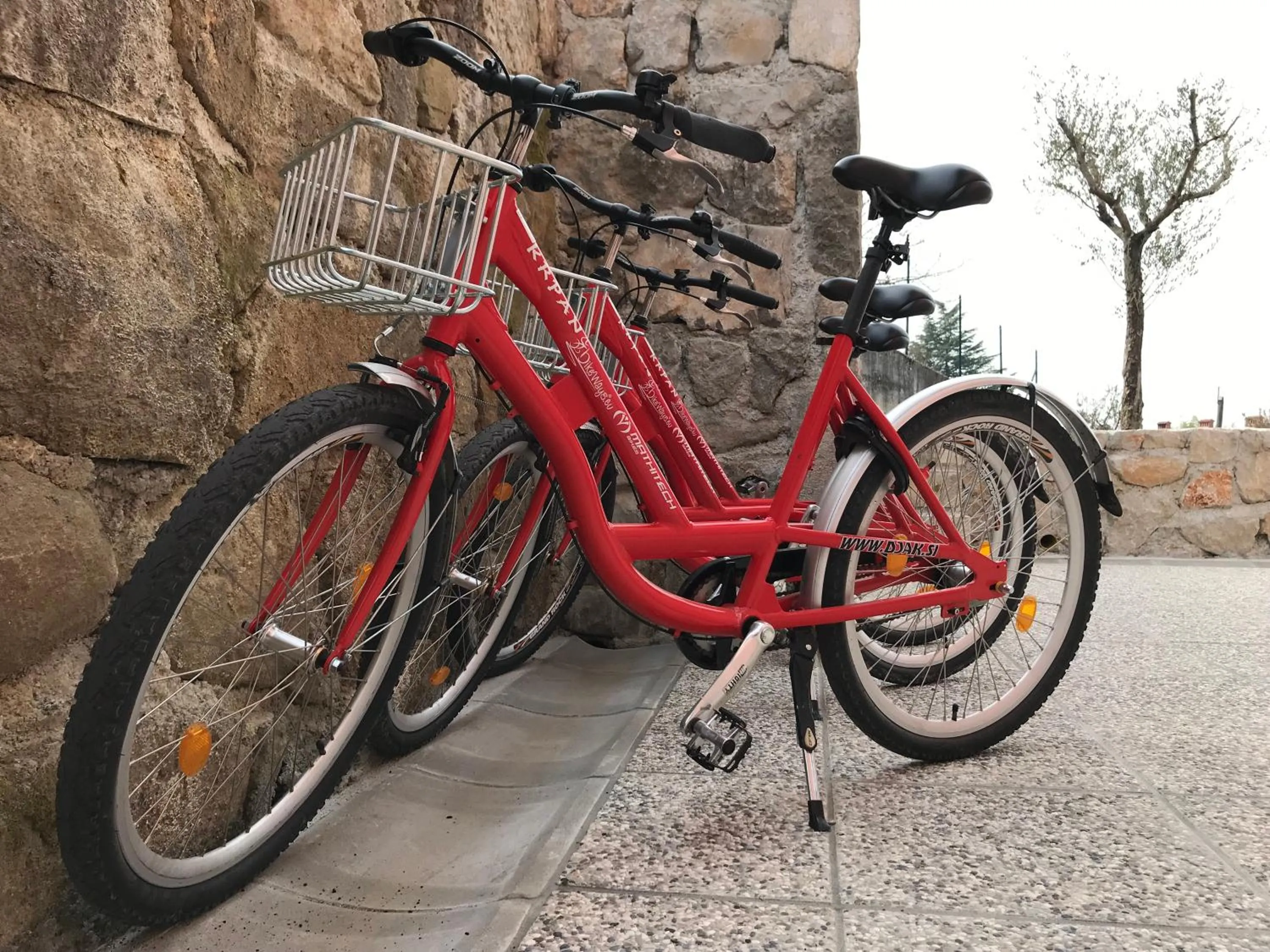 Activities in Vila Burbonka