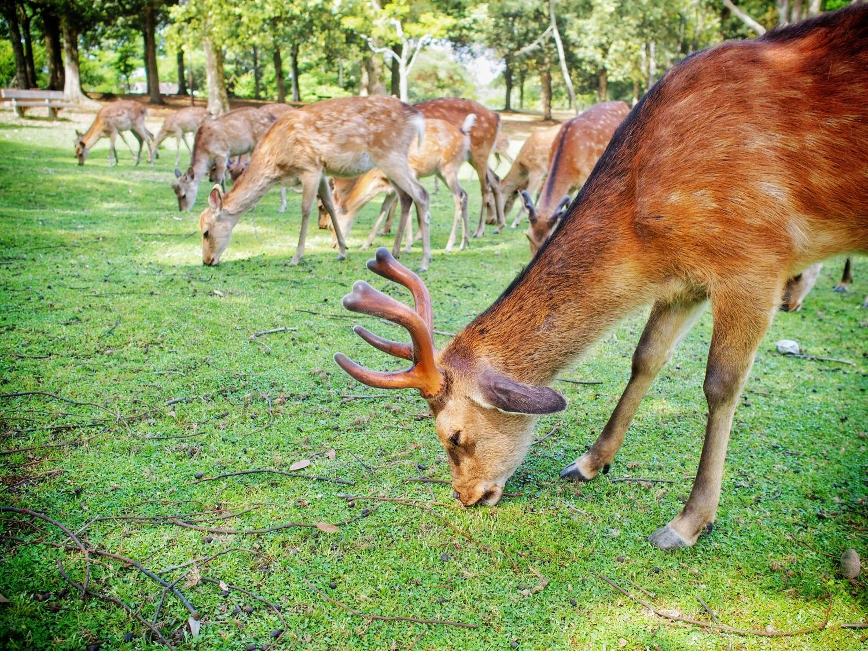 Neighbourhood in SLOW HOUSE NARA