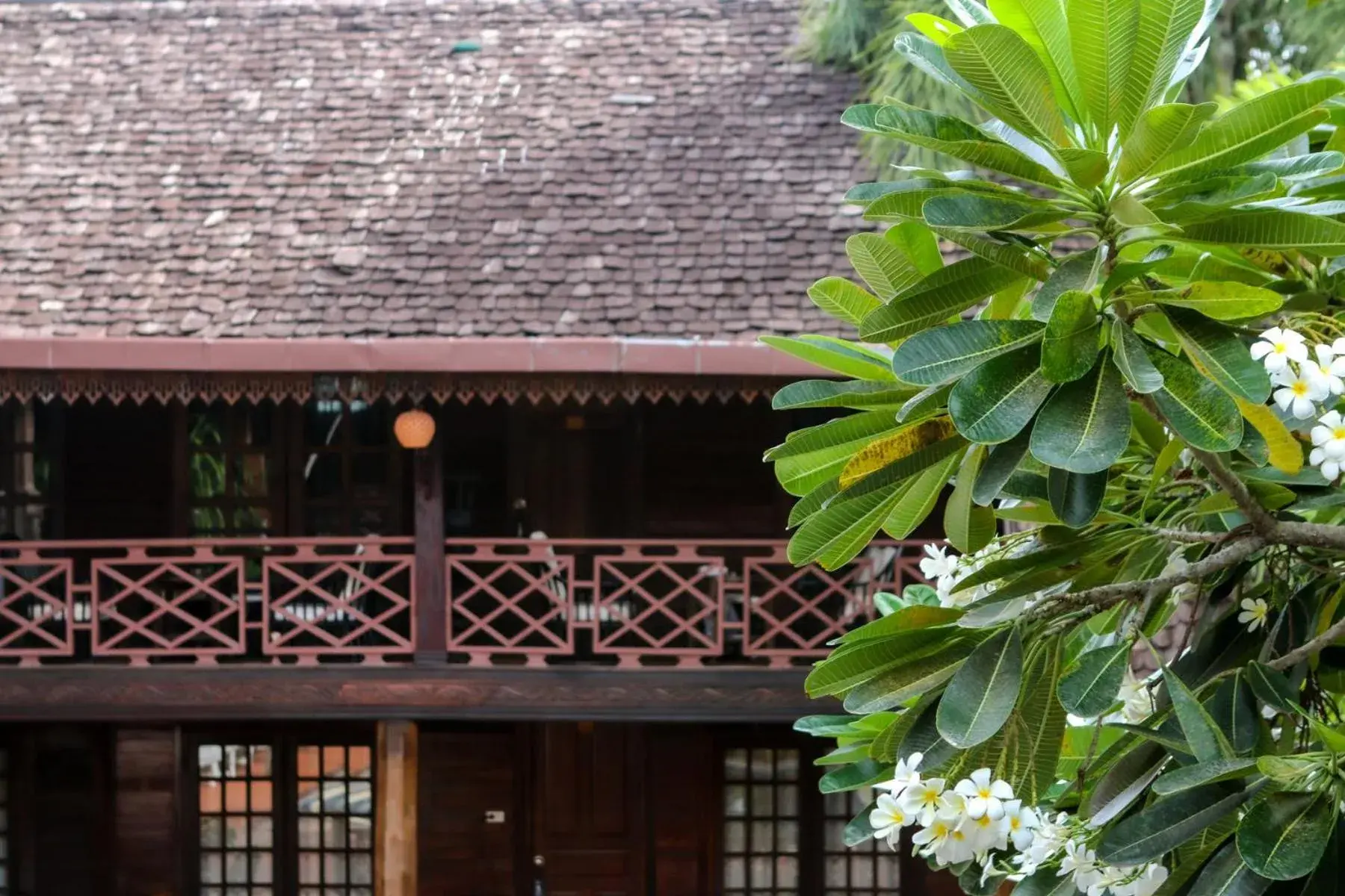 Property building in Chandara Boutique Hotel Property building in Chandara Boutique Hotel