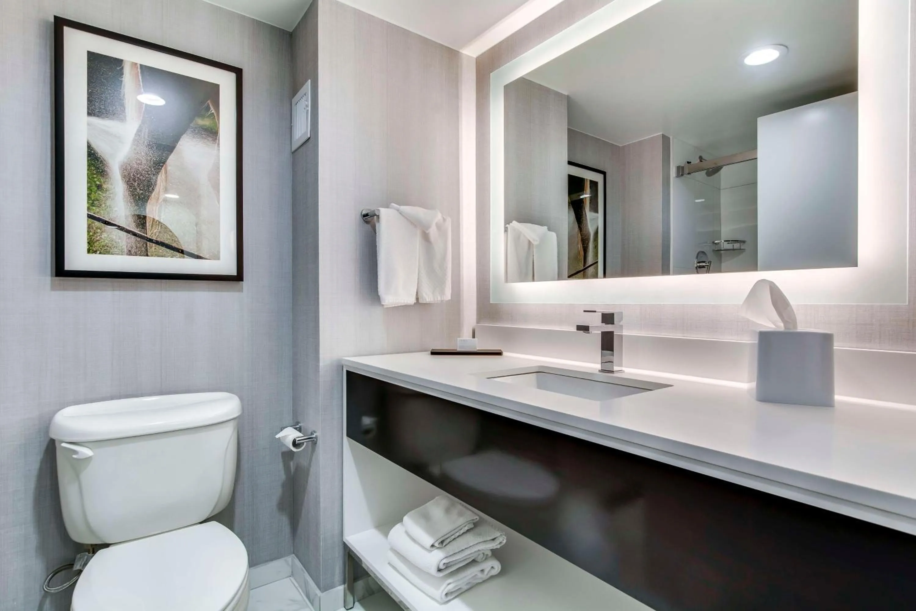 Bathroom in Embassy Suites by Hilton Louisville East