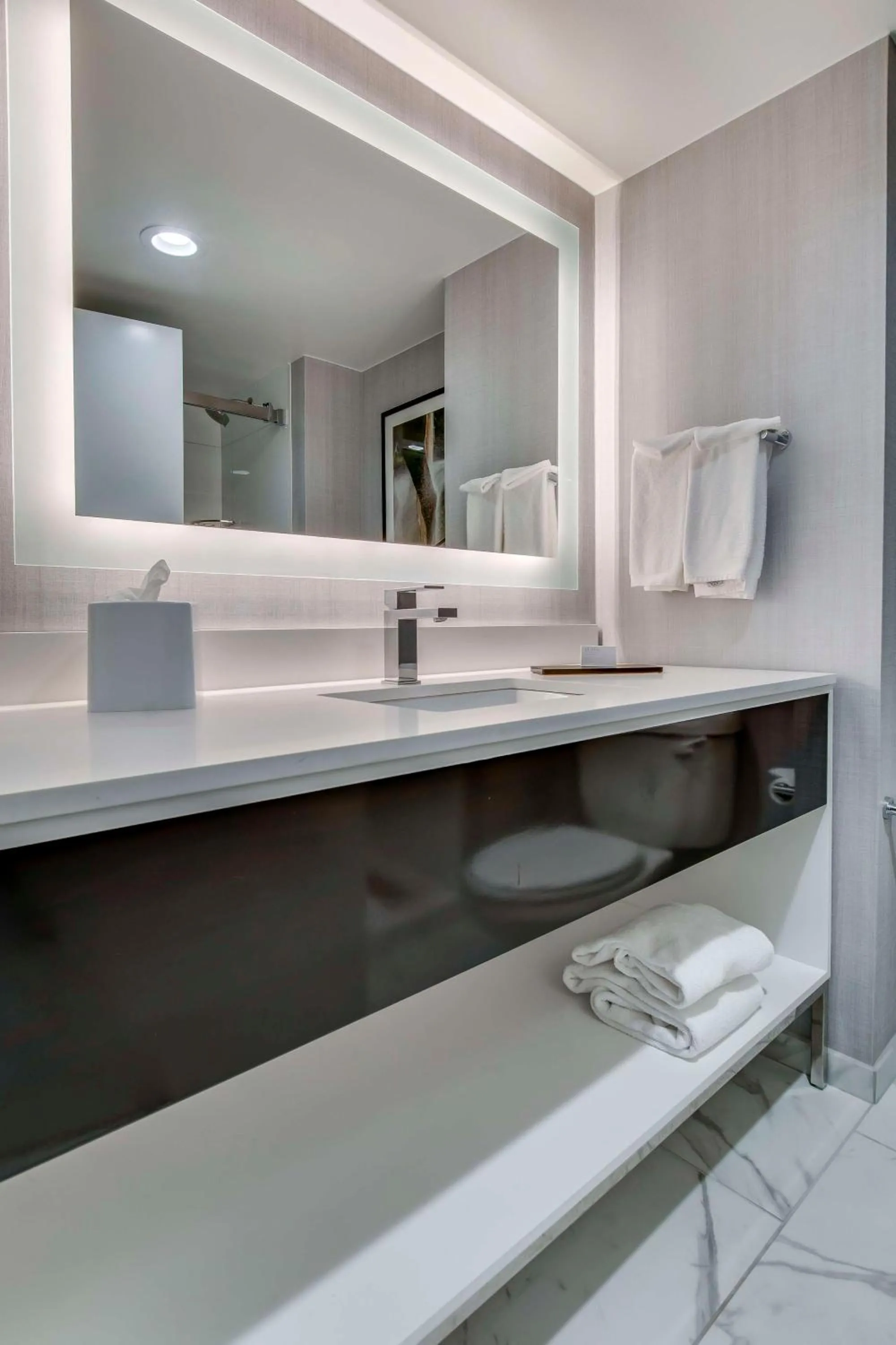 Bathroom in Embassy Suites by Hilton Louisville East