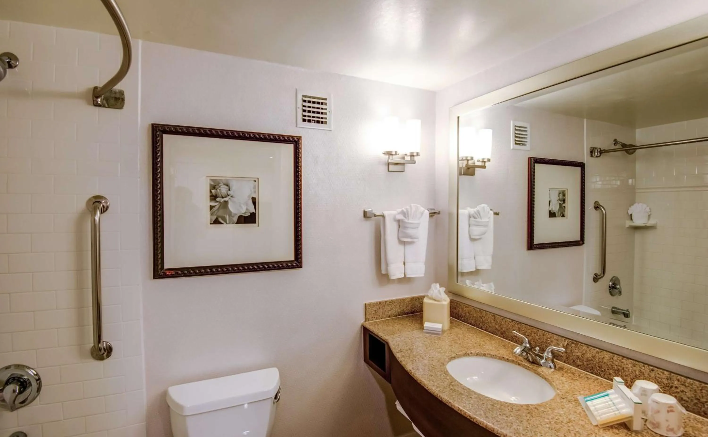 Bathroom in Hilton Garden Inn Tampa Ybor Historic District