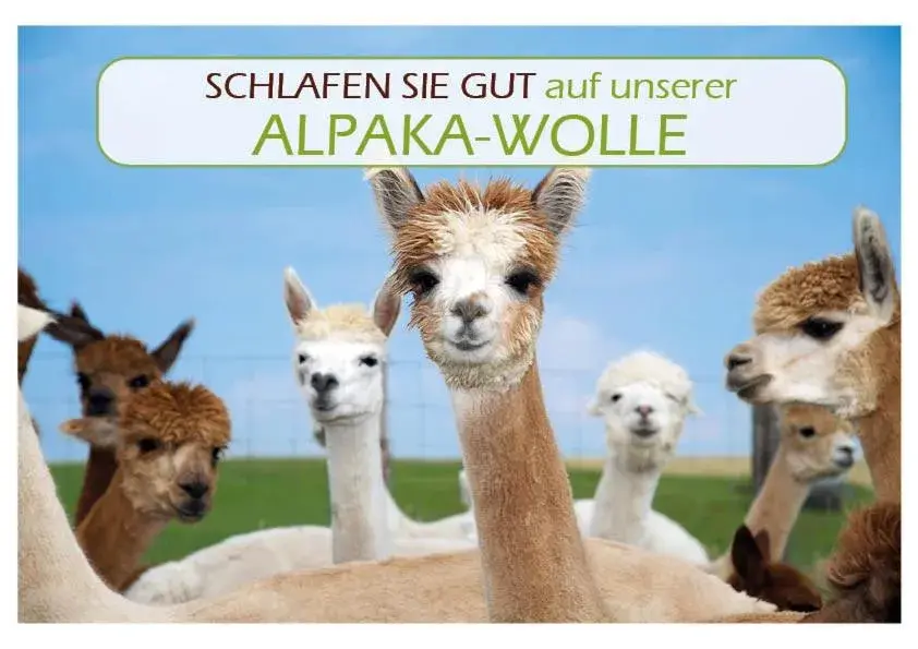 Property building in Landhotel Oßwald Property building in Landhotel Oßwald