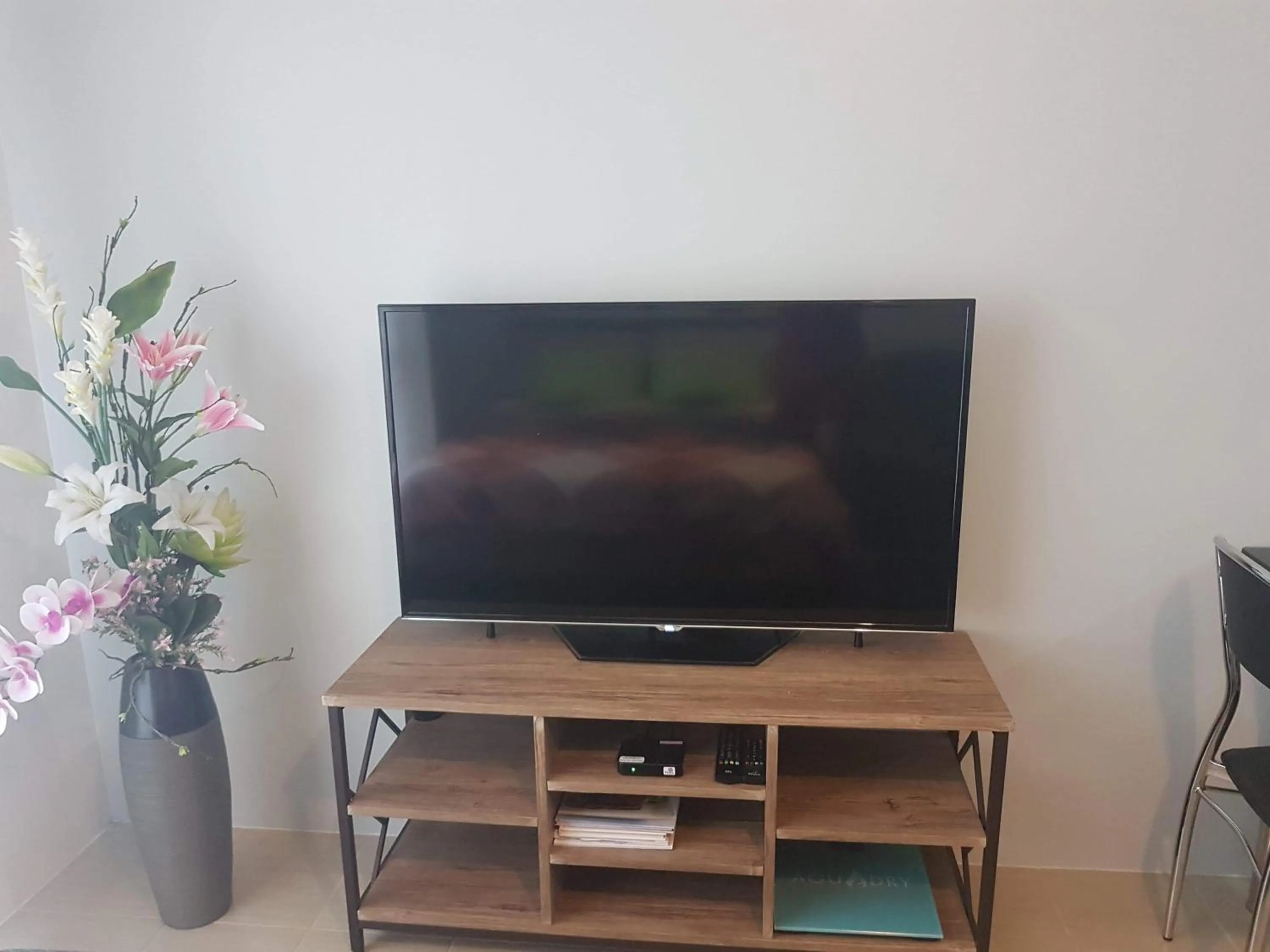TV and multimedia in Studio Fully Furnished