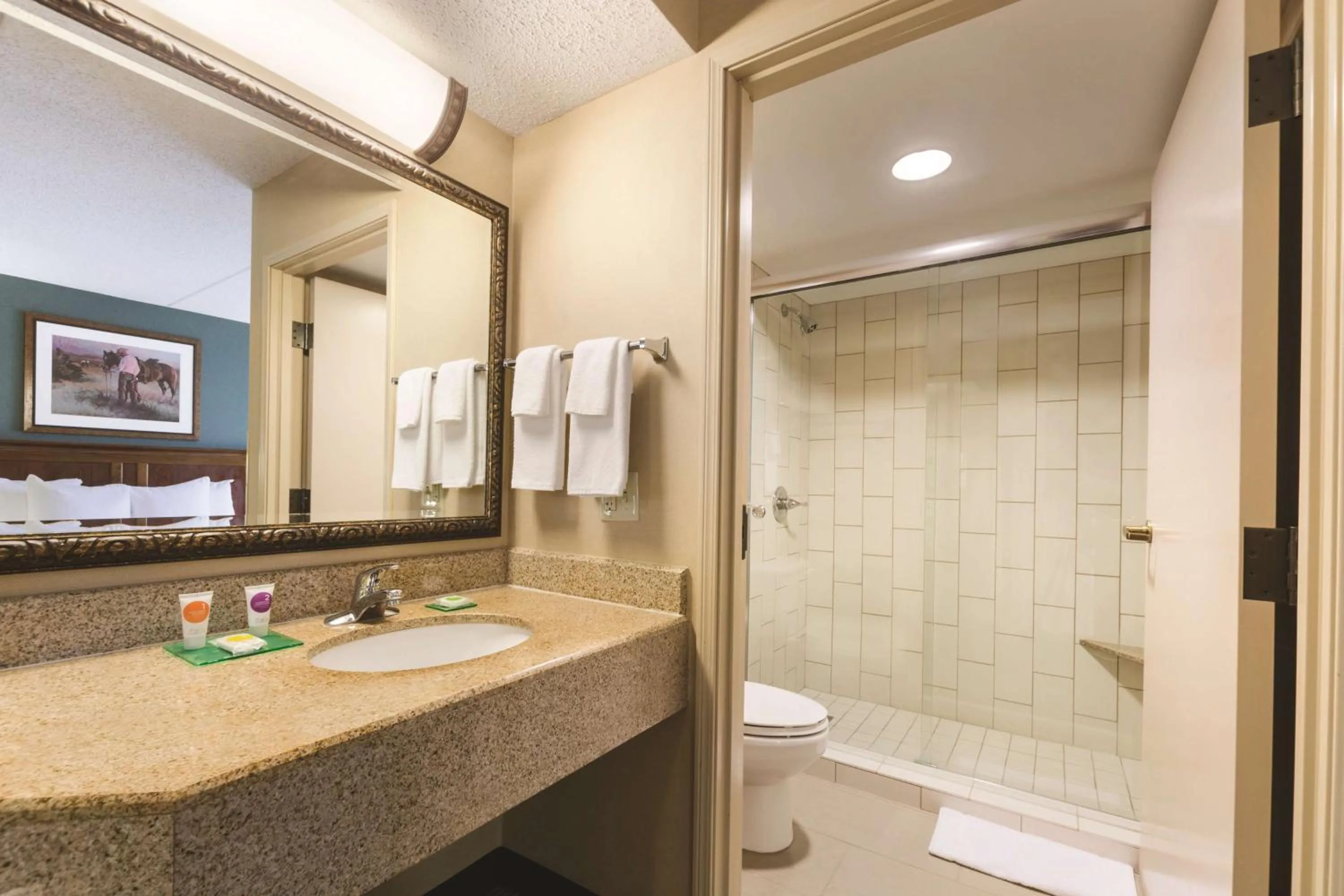 Bathroom in Hyatt Place Fort Worth Stockyard