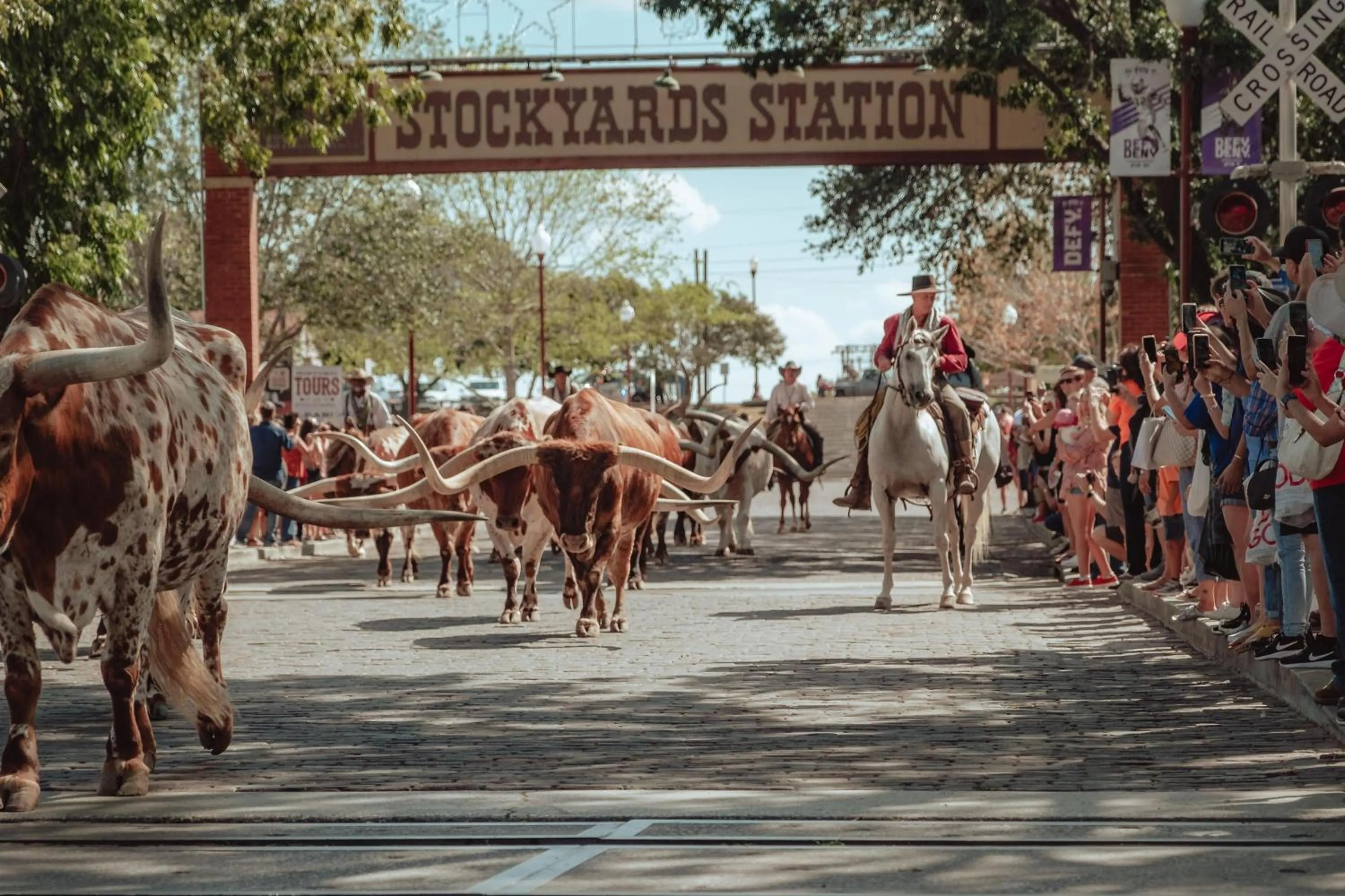 Location in Hyatt Place Fort Worth Stockyard