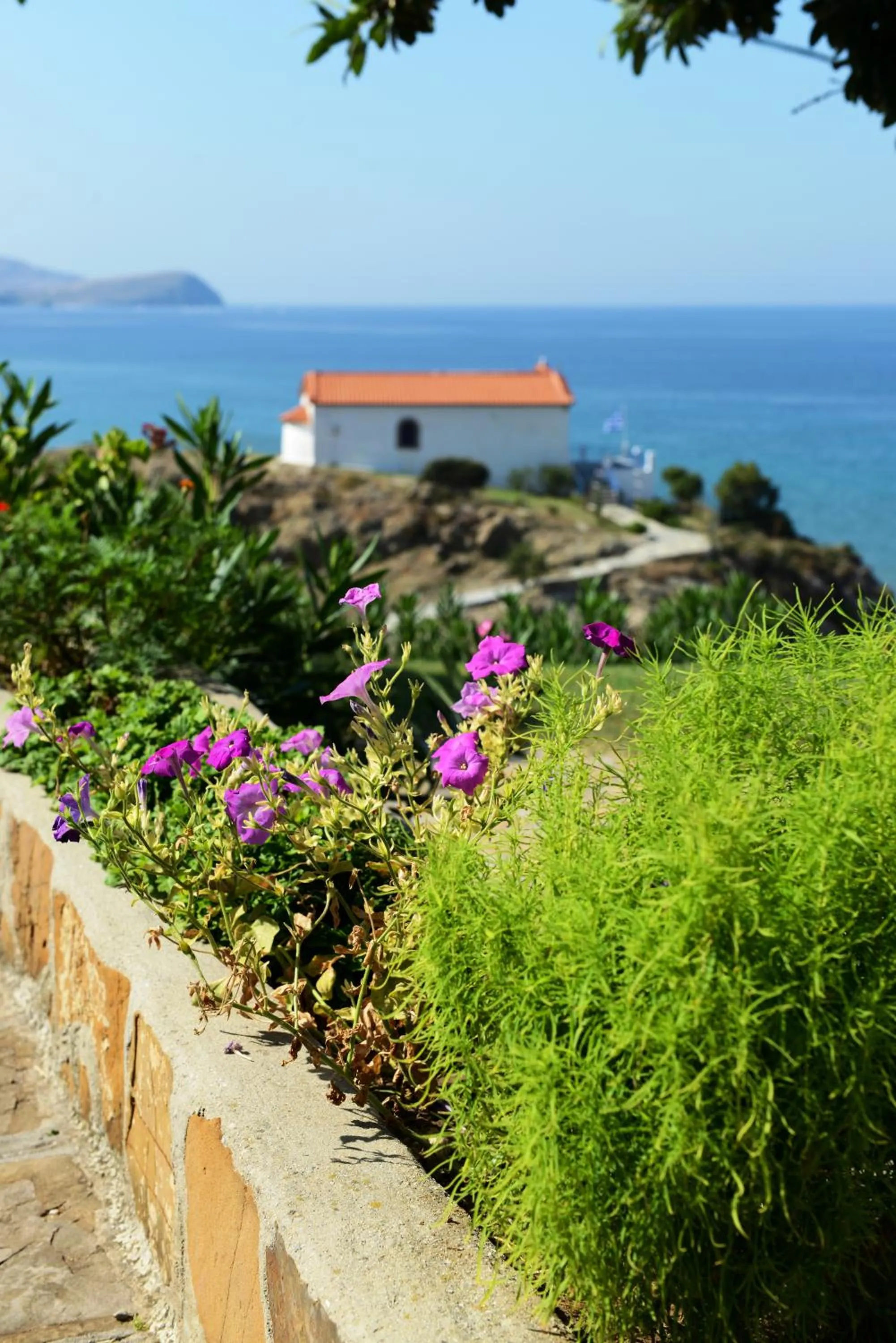 Area and facilities in Sunset Hotel
