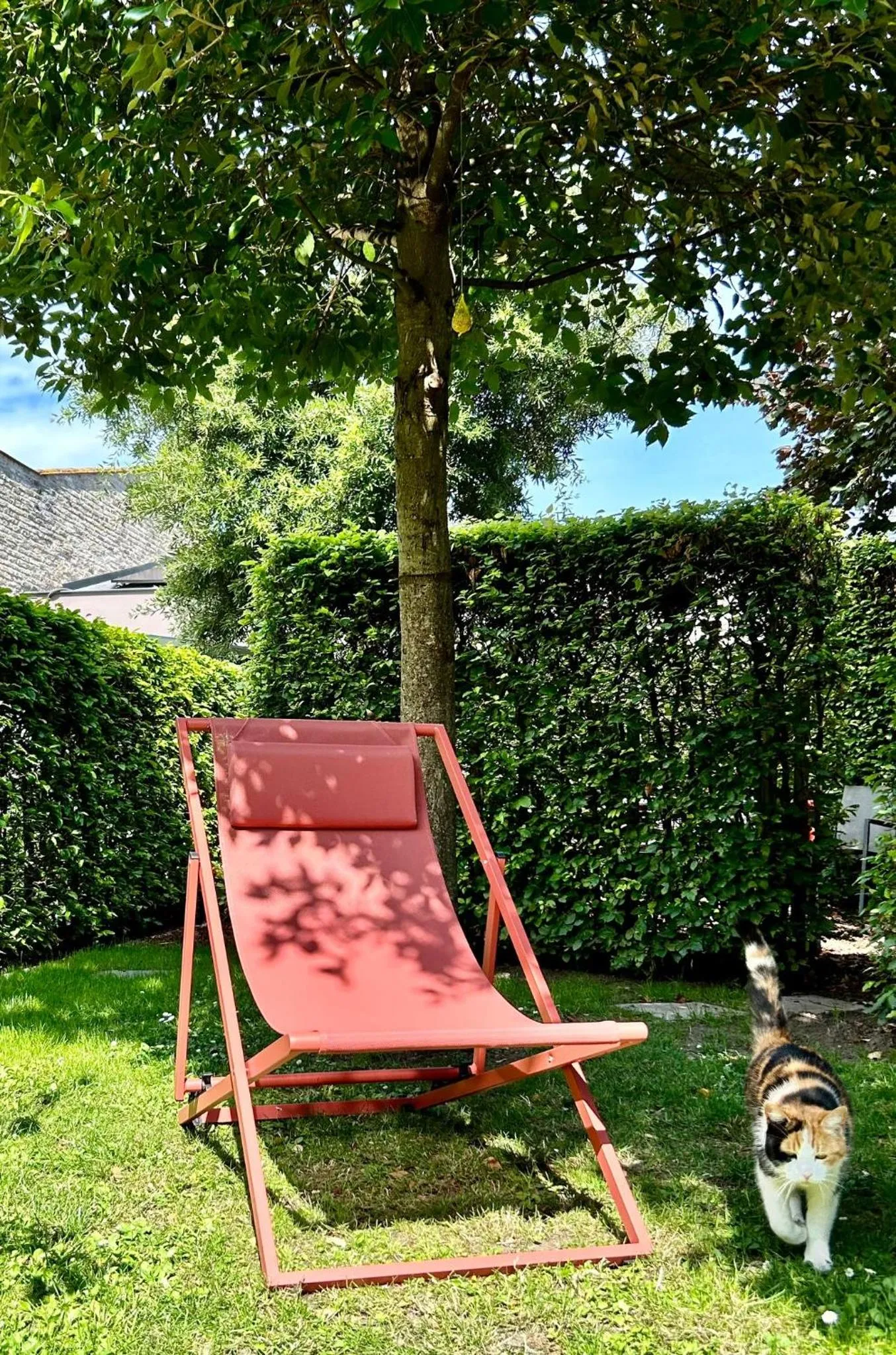 Garden in B&B Contrast