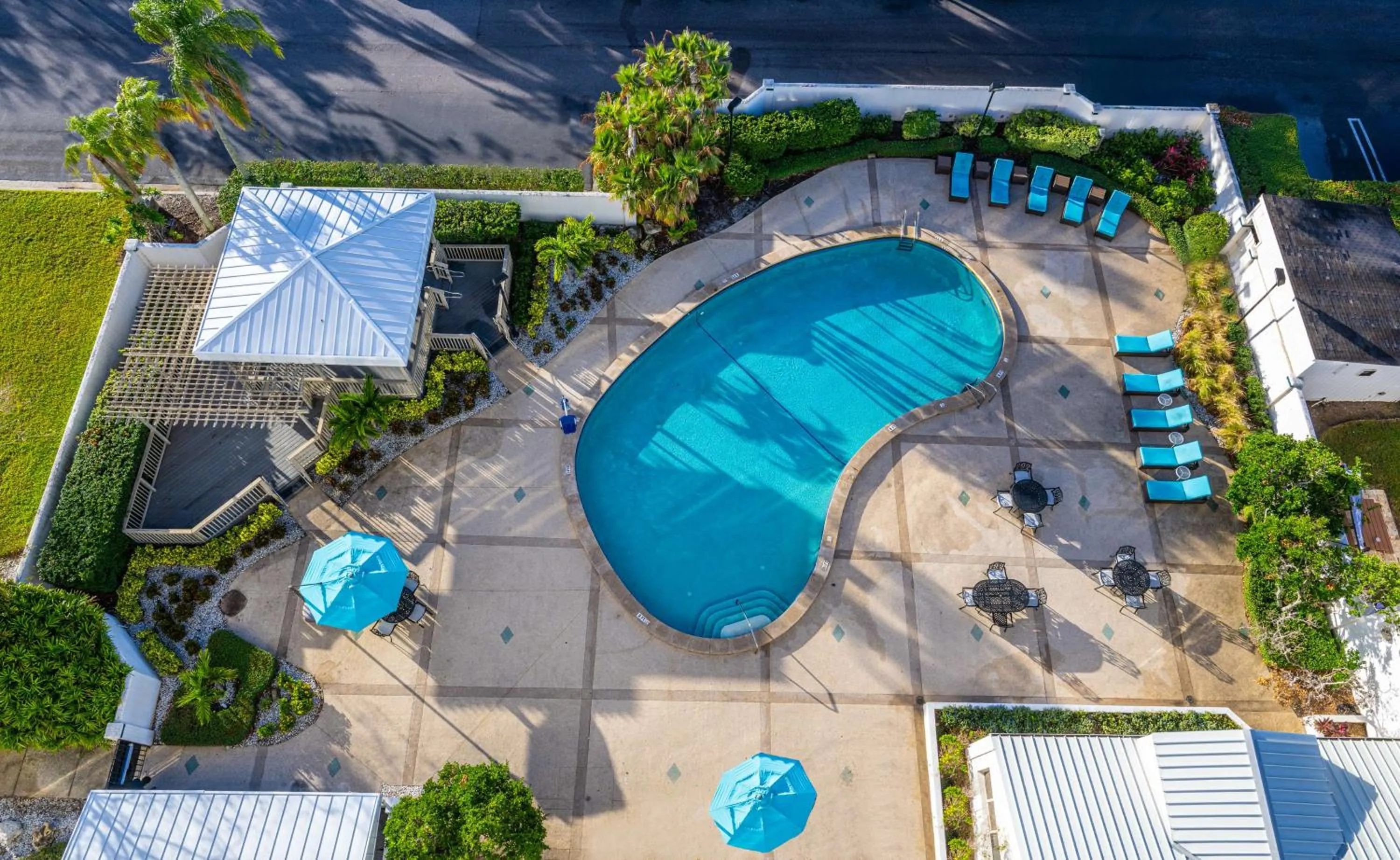 Pool view in Hilton Tampa Airport Westshore