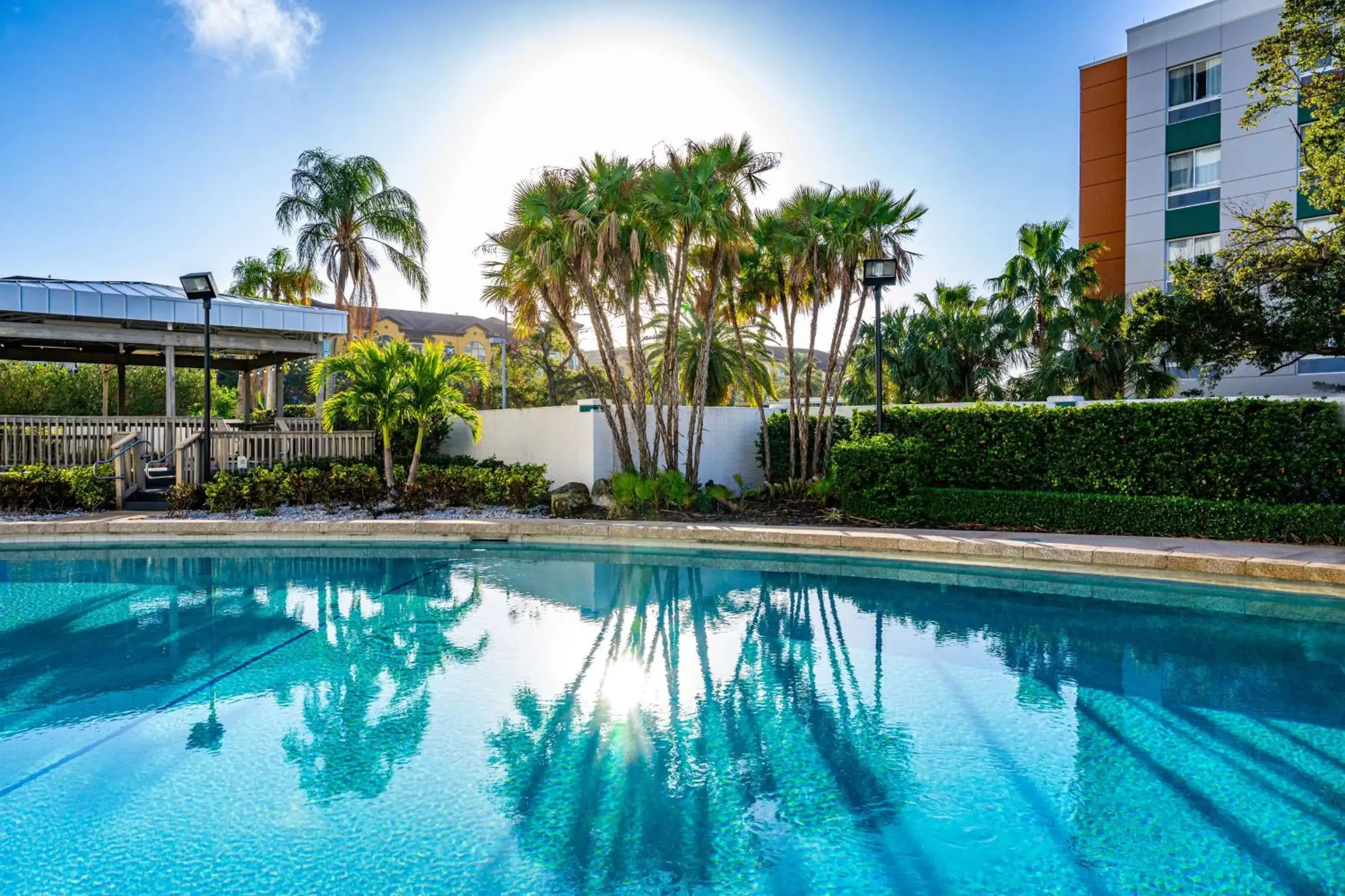 Pool view in Hilton Tampa Airport Westshore Pool view in Hilton Tampa Airport Westshore