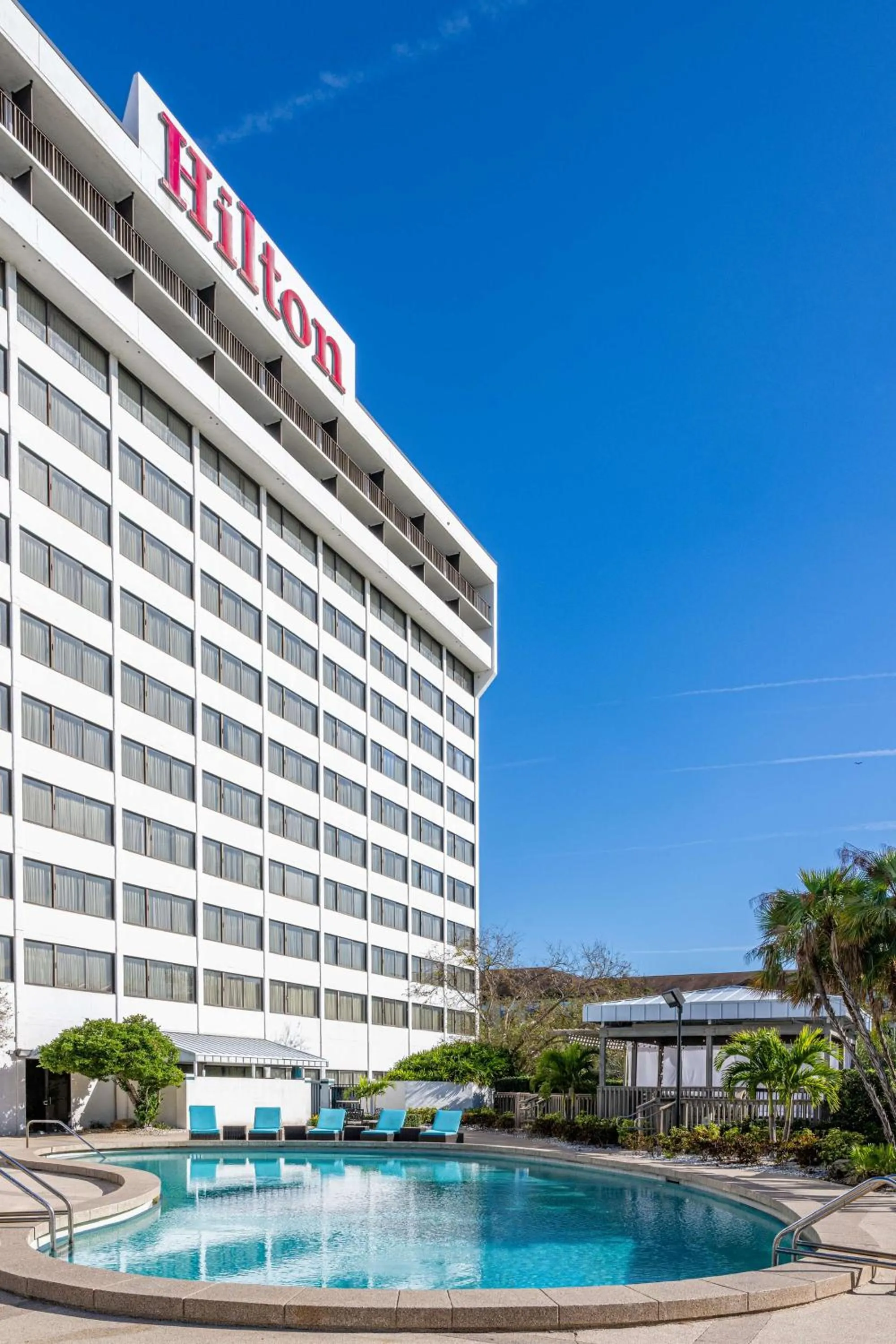 Pool view in Hilton Tampa Airport Westshore