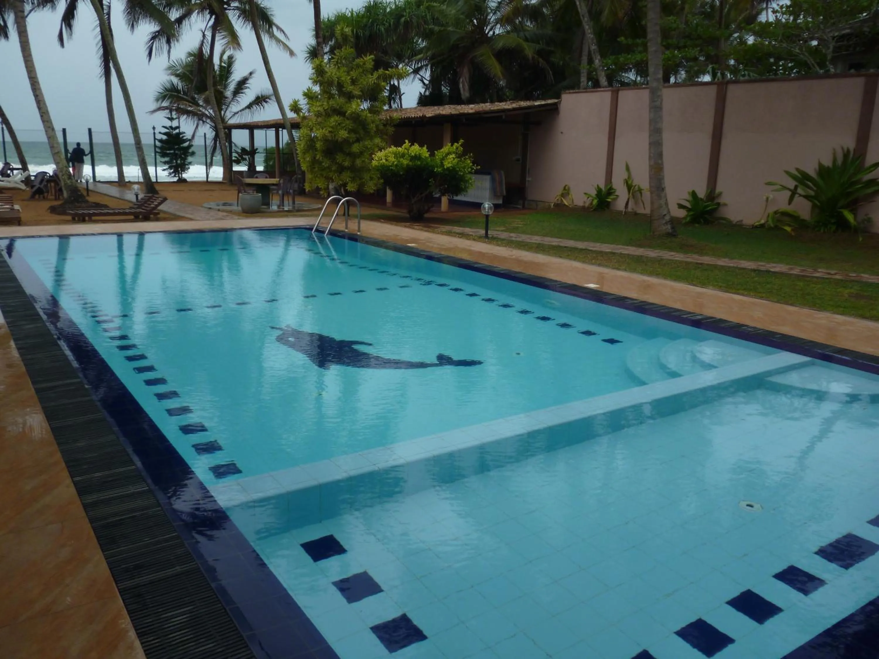 Garden in Hotel Ocean View Cottage