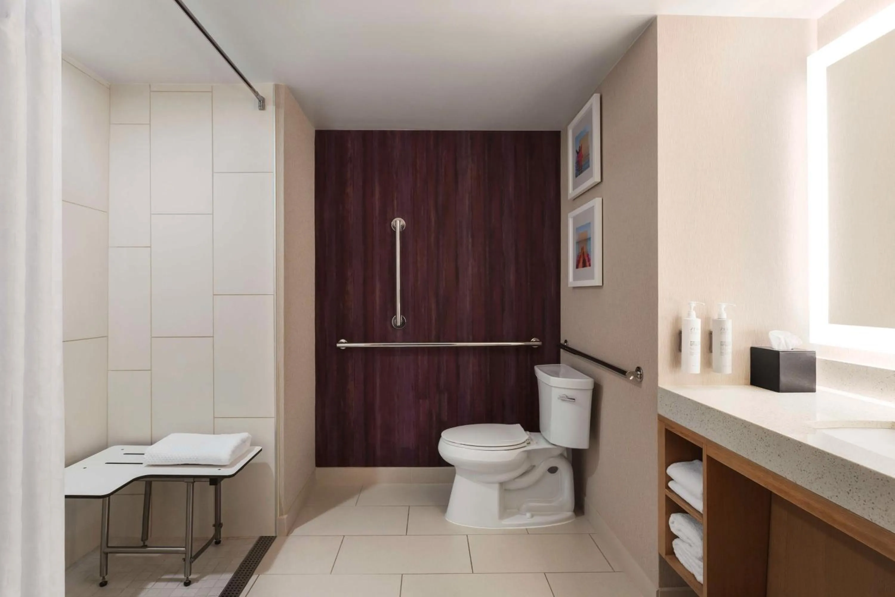 Bathroom in Embassy Suites by Hilton Tampa Downtown Convention Center