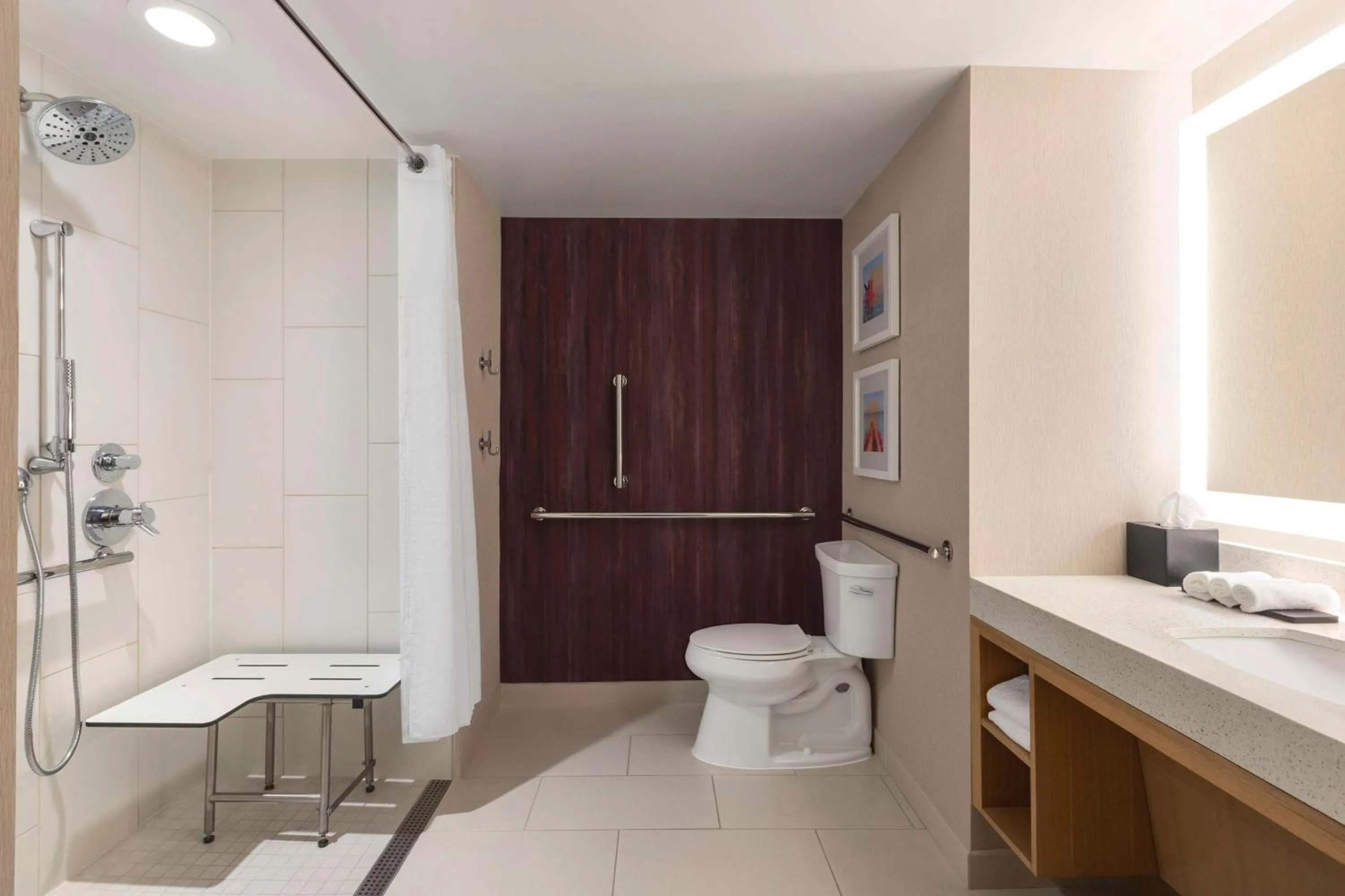 Bathroom in Embassy Suites by Hilton Tampa Downtown Convention Center