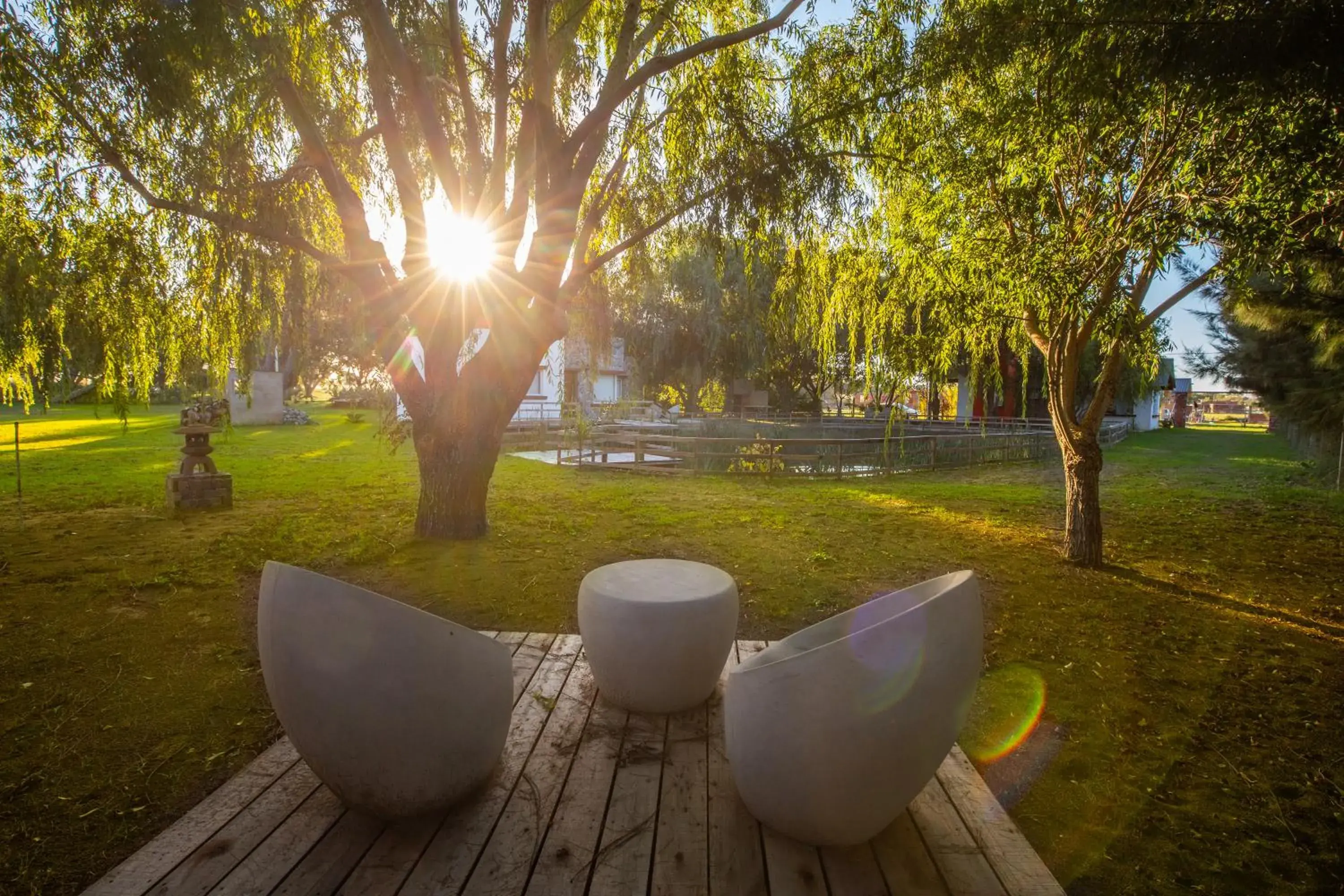 Mar & Campo Mar & Campo