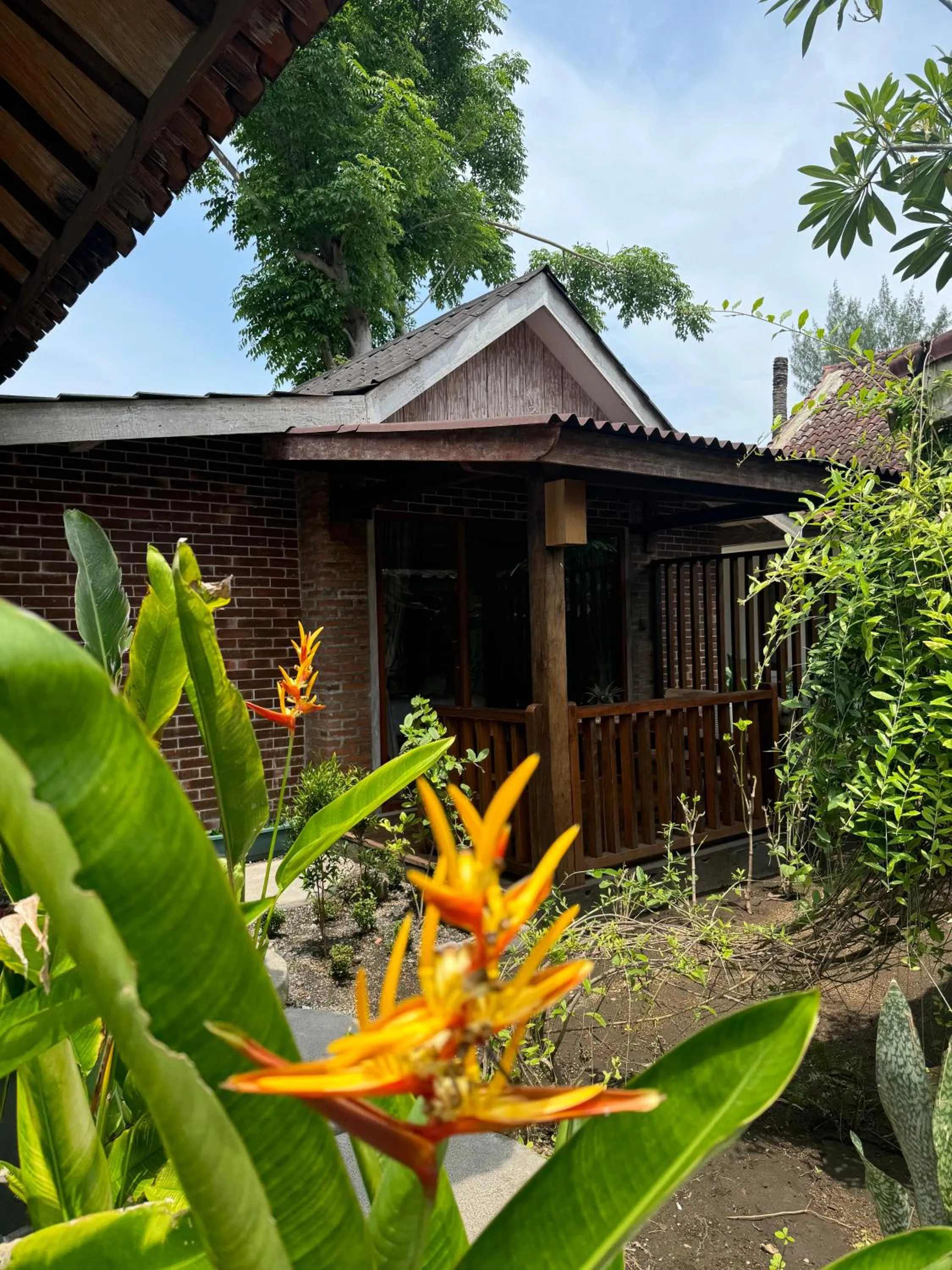 Garden view in Kalua Boutique Bungalows