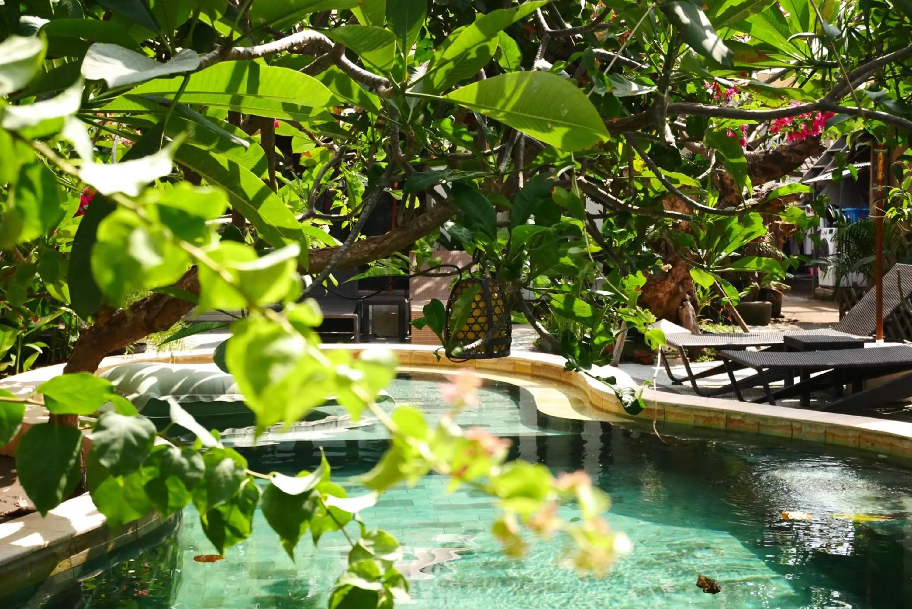 Day in Kalua Boutique Bungalows