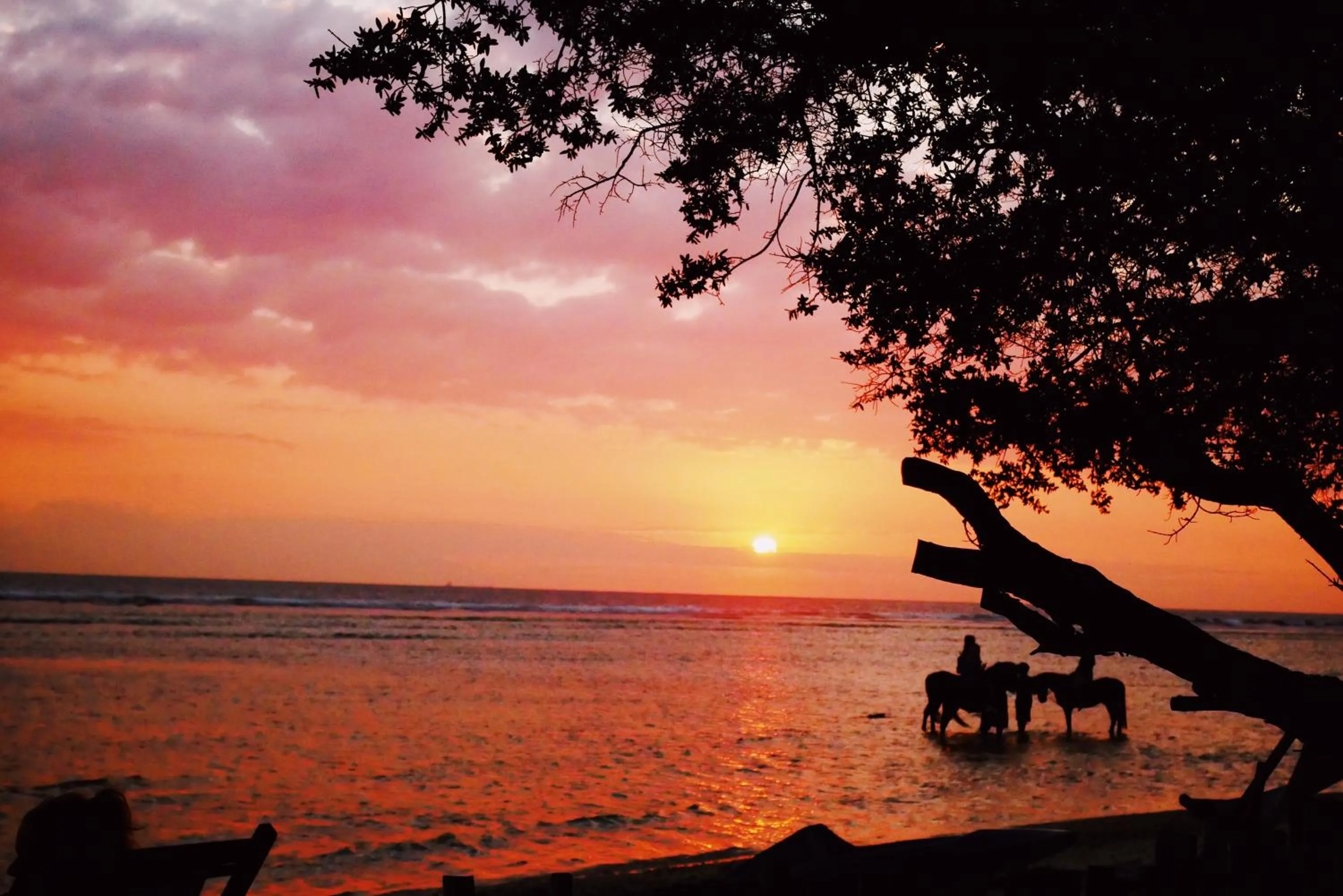 Natural landscape in Kalua Boutique Bungalows